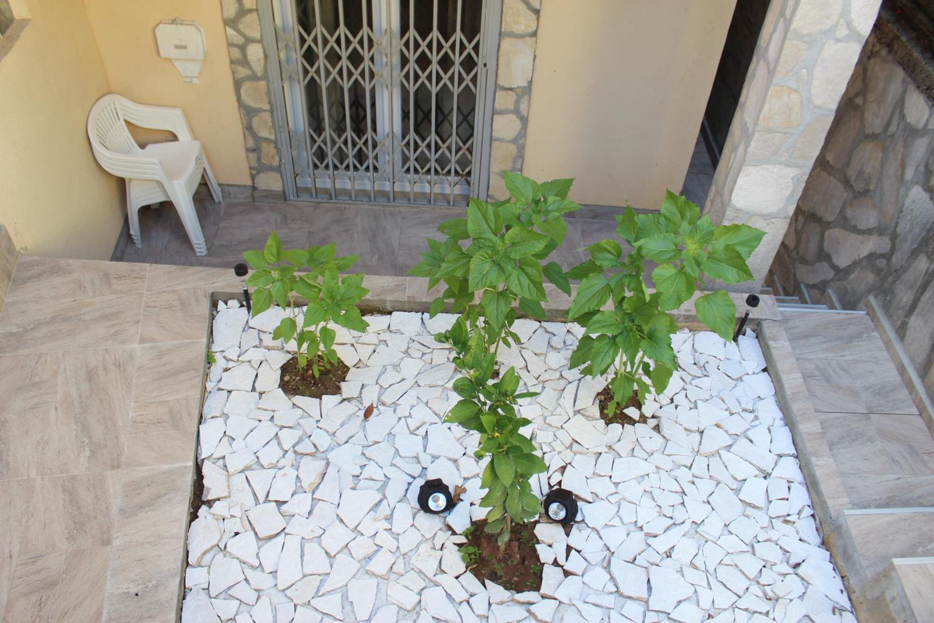 Mostar House