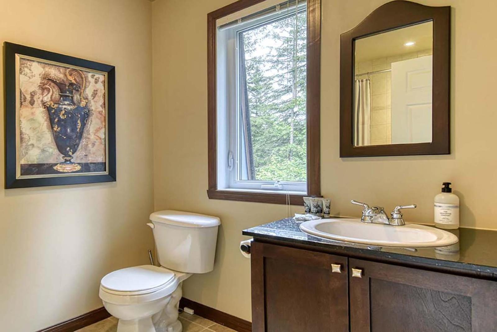 146 Borealis - Close to the Mountains in Mont-Tremblant