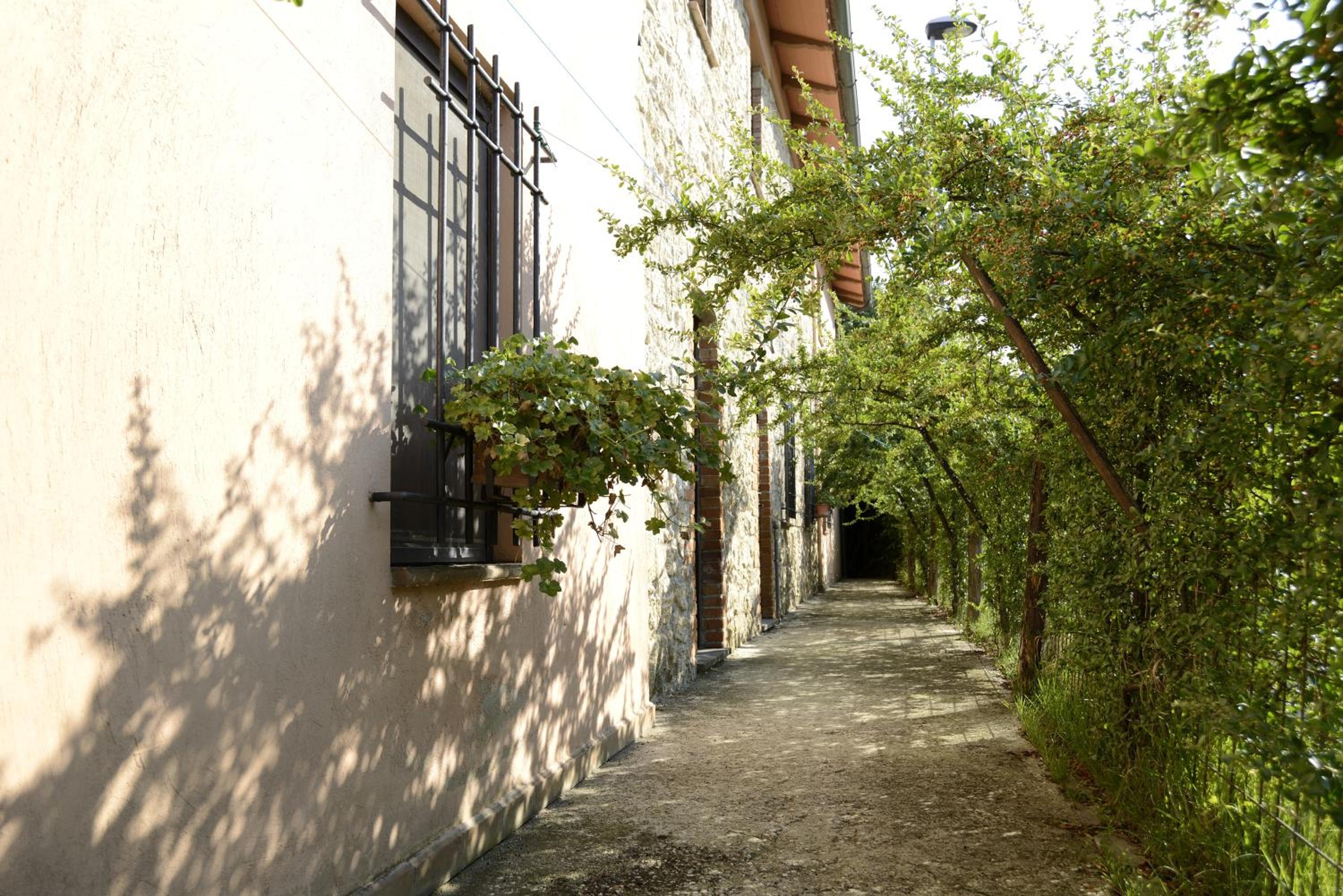 Photo 45