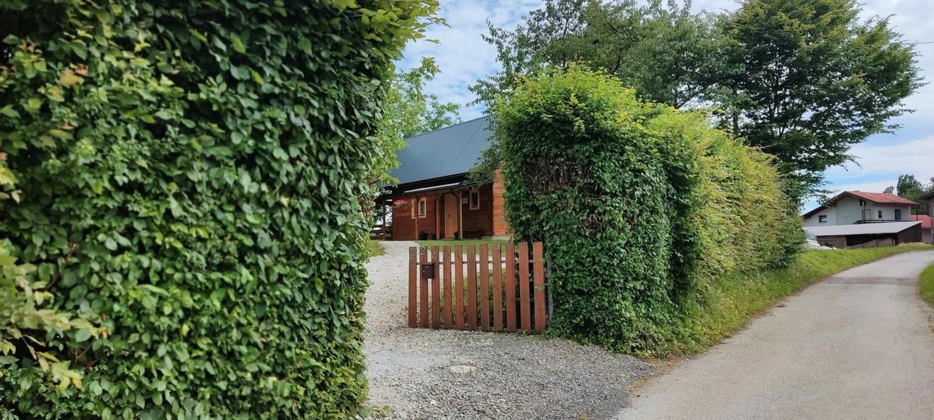 Wooden House Jela