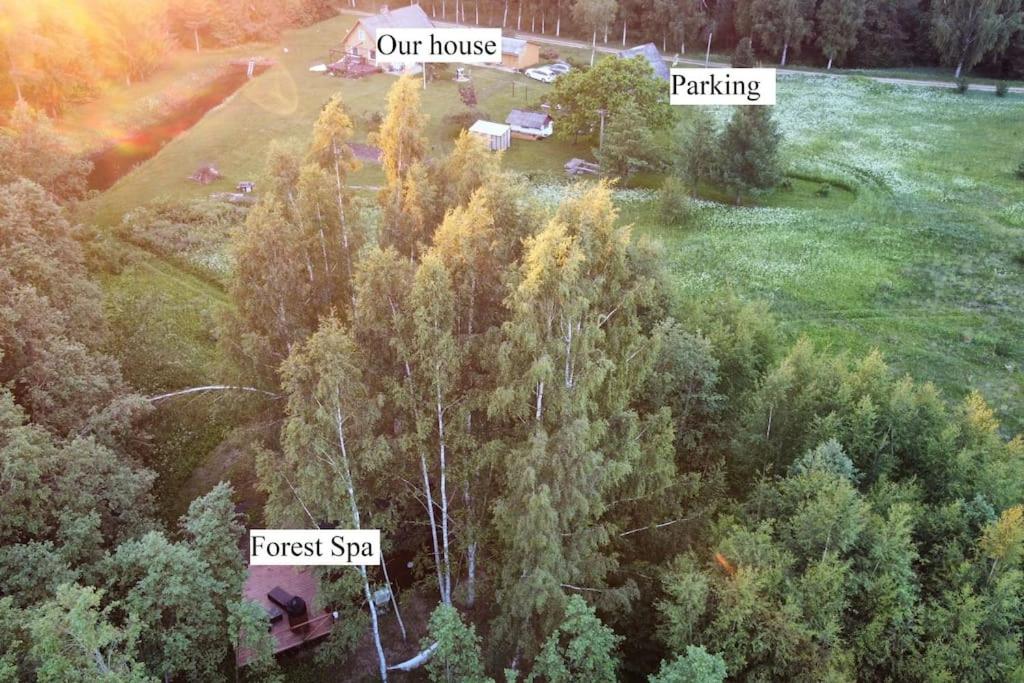 Unique Tiny House in Countryside