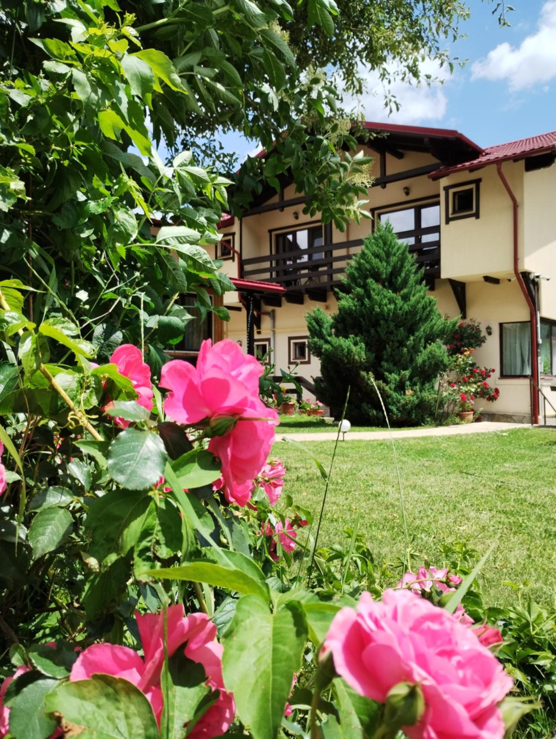 Casa cu Flori view 2