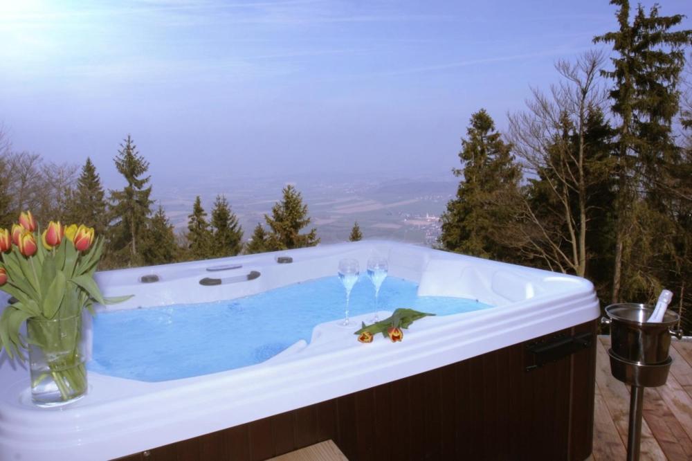 Schönblick Hohenbogen