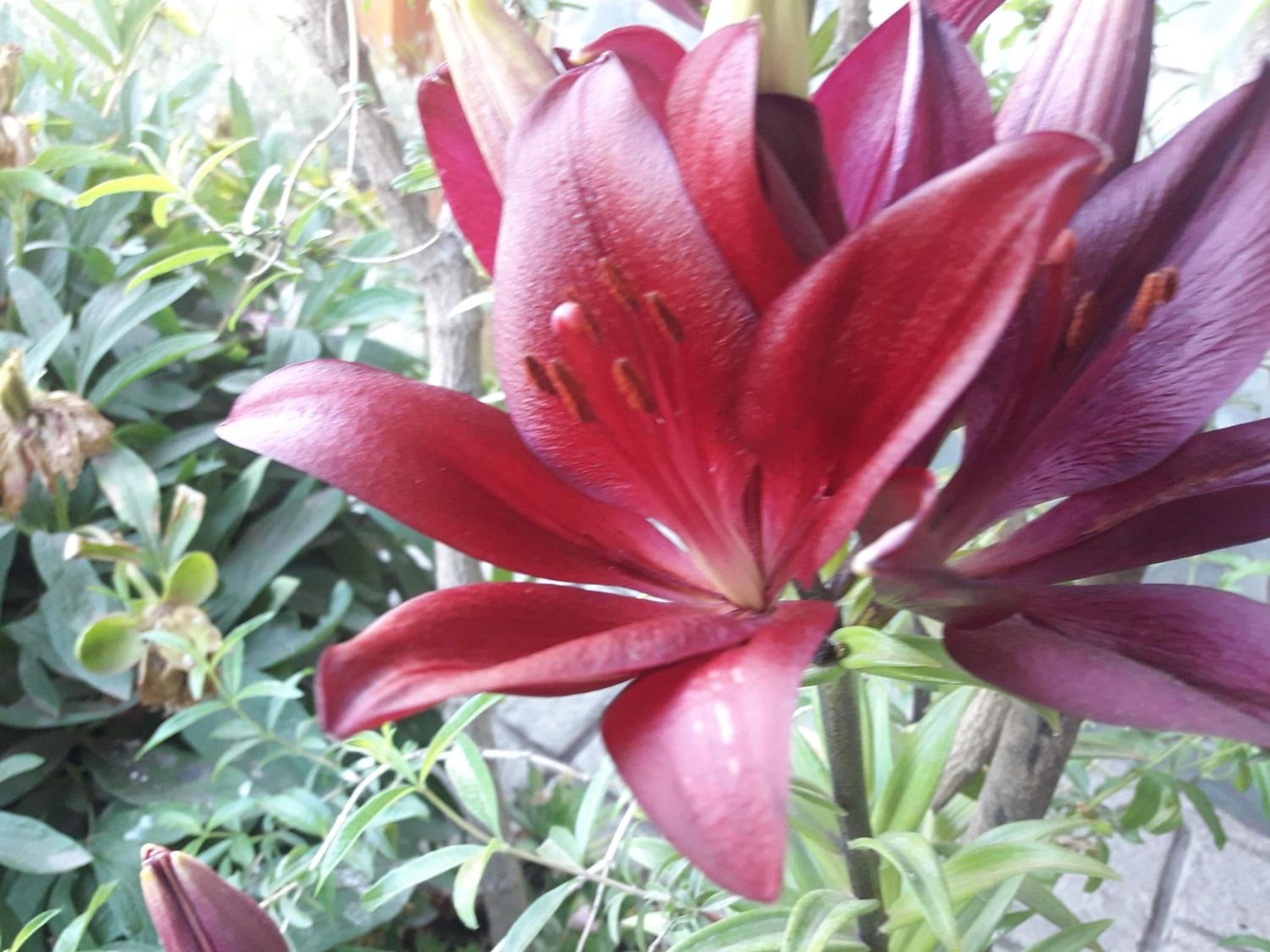Portal de los Andes Bariloche