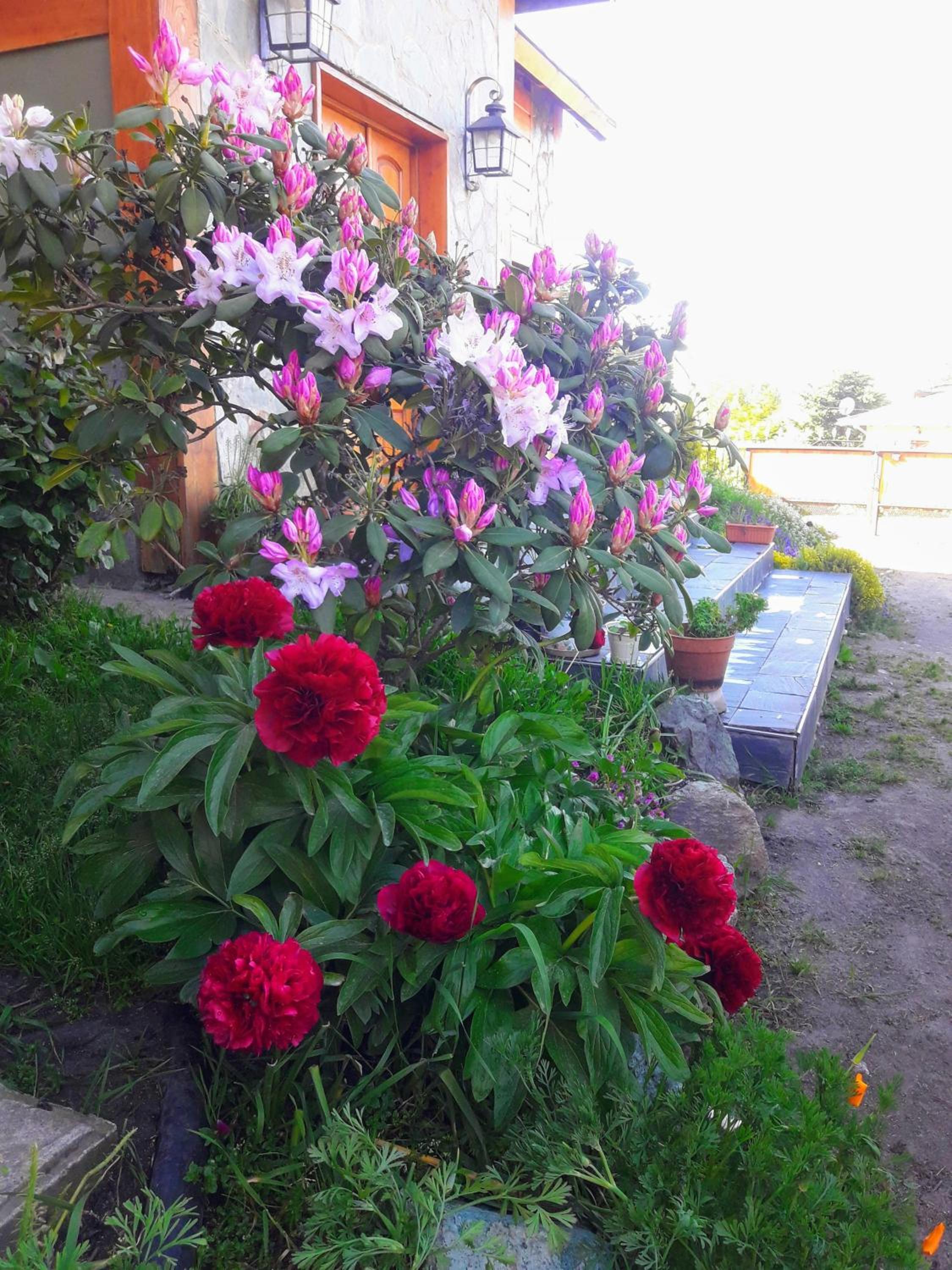 Portal de los Andes Bariloche