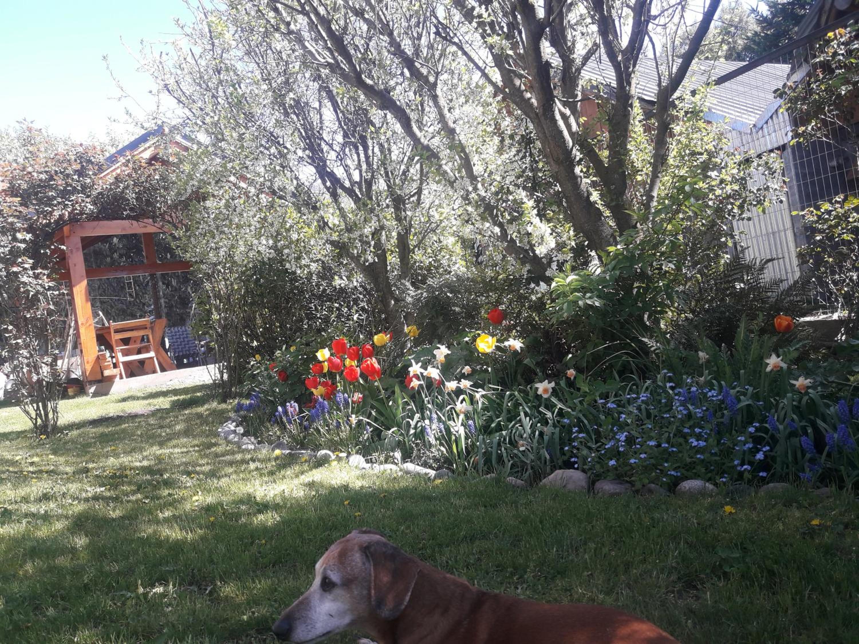 Portal de los Andes Bariloche