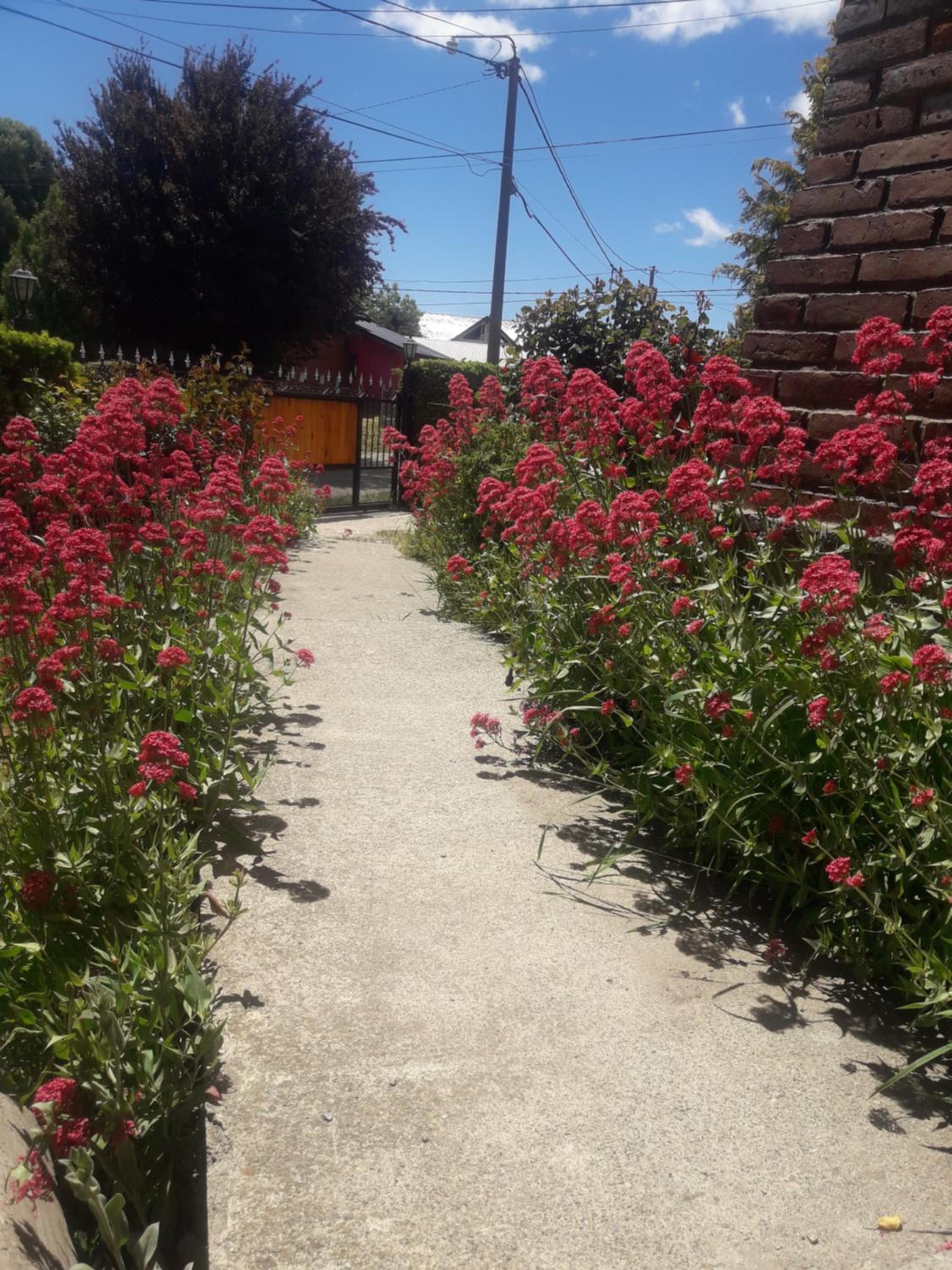 Portal de los Andes Bariloche
