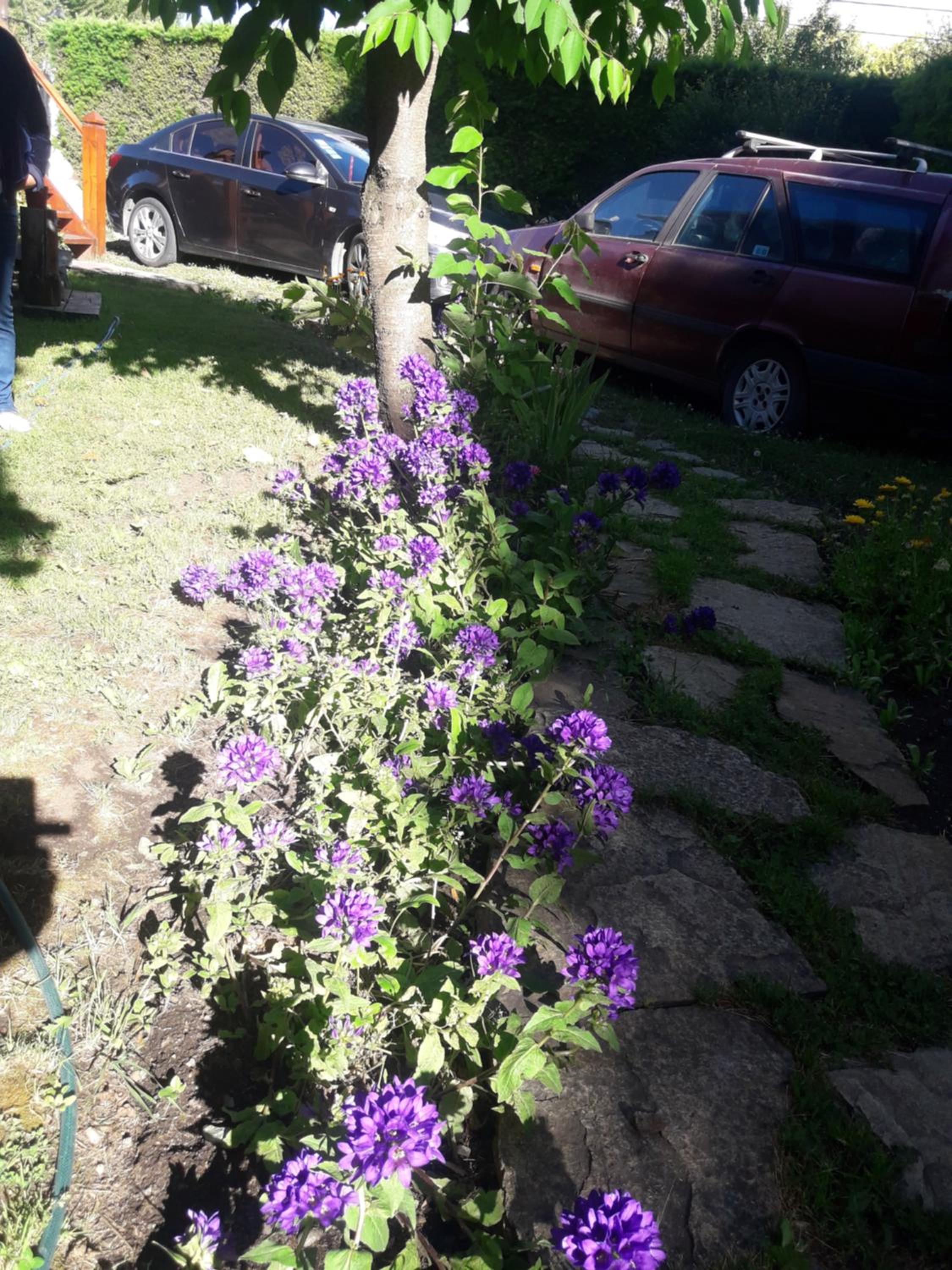 Portal de los Andes Bariloche