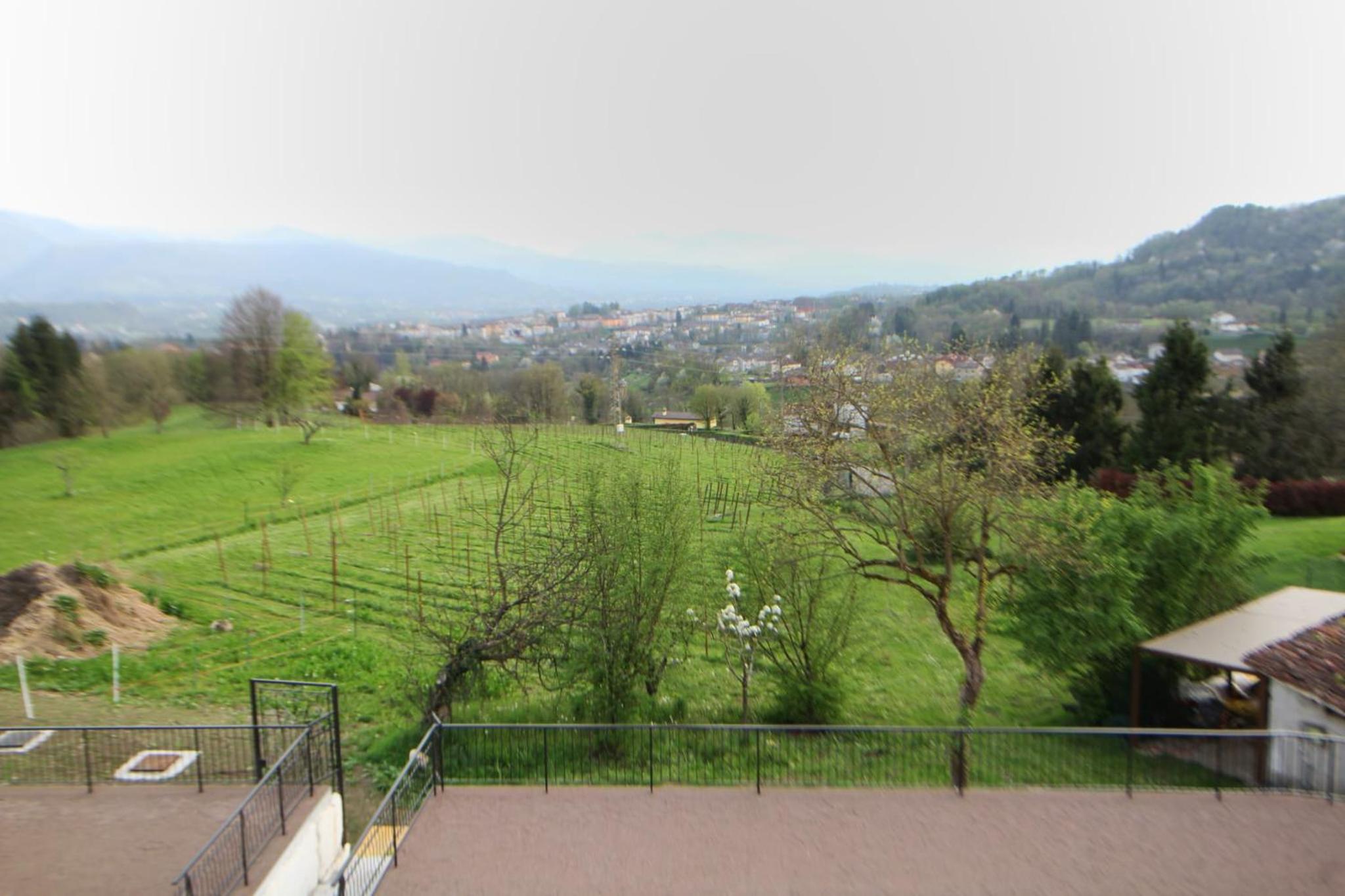 Le Vignole