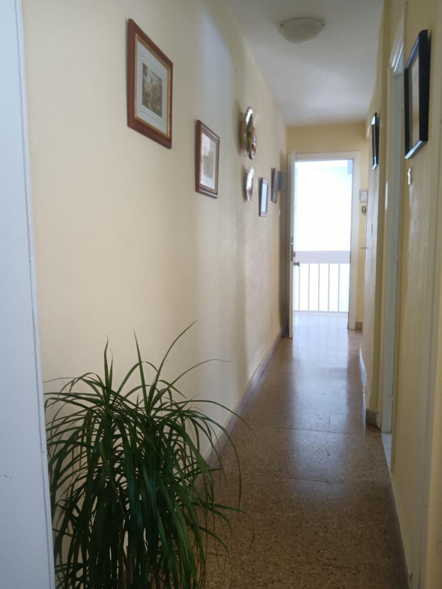 Apartamento acogedor en playa Gandía