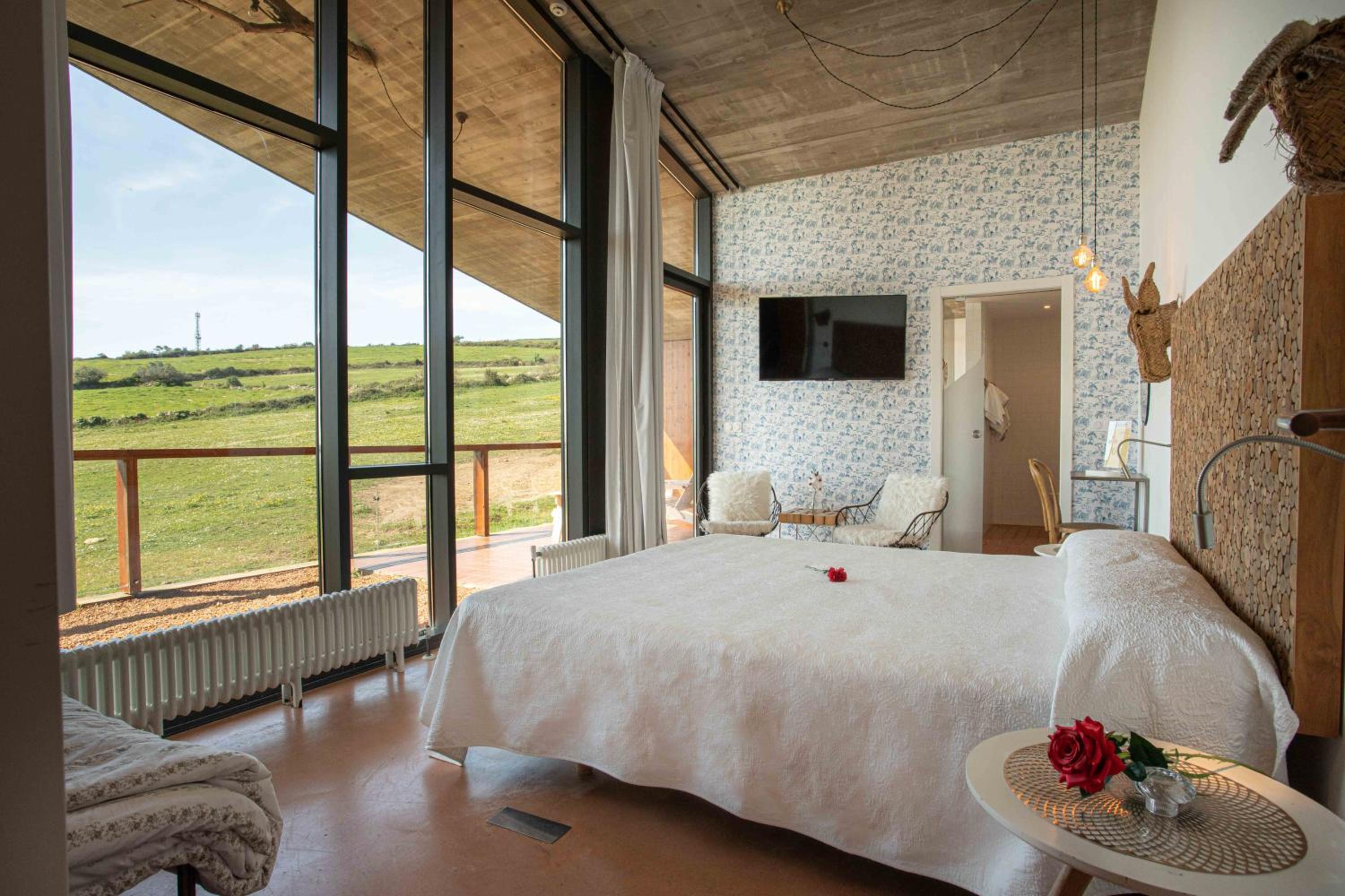 Suites Niditas