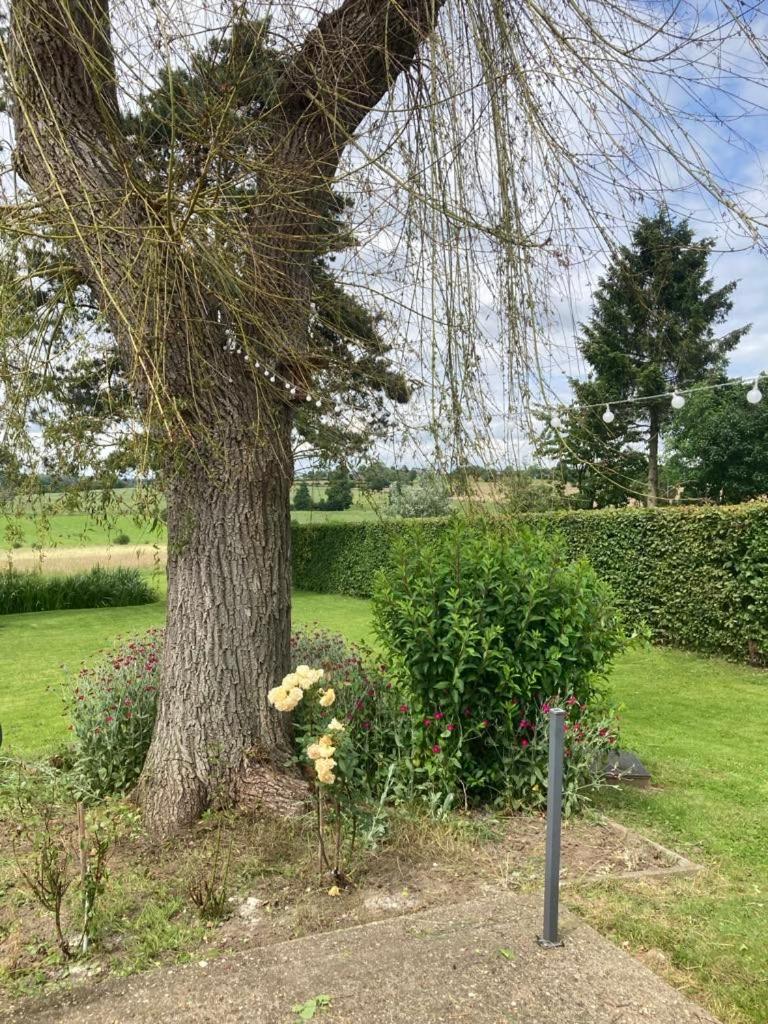 other