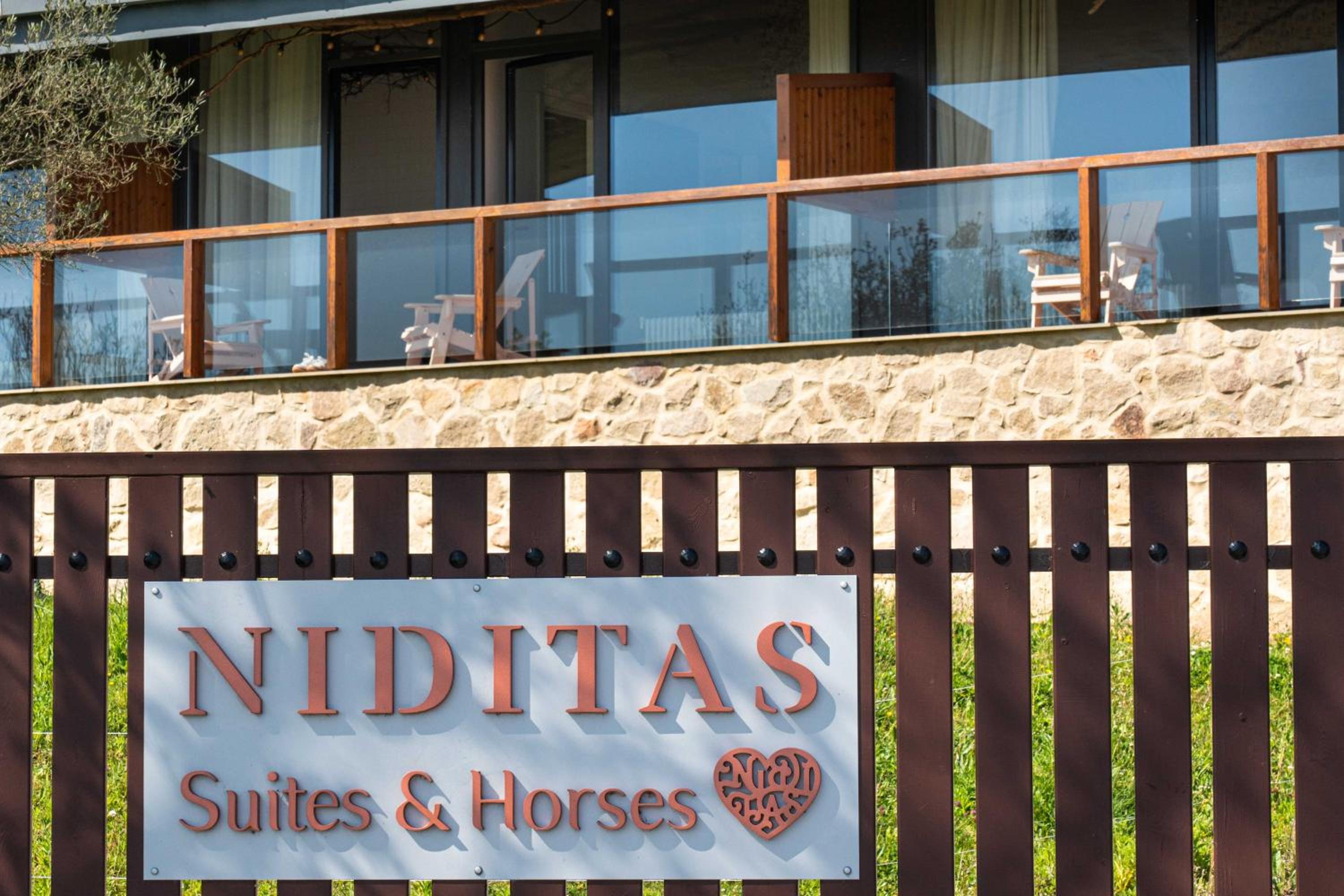 Suites Niditas