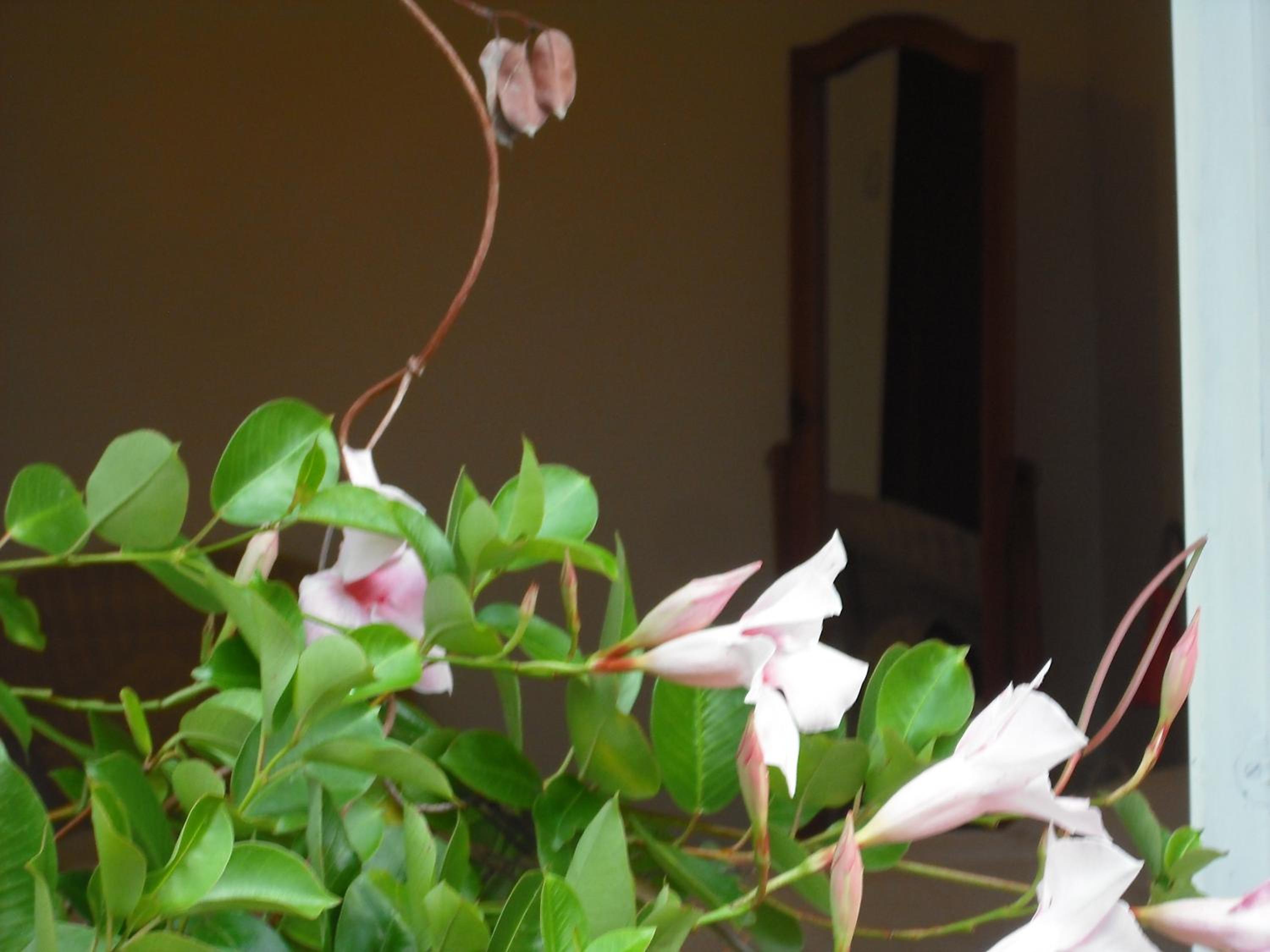 Photo 39