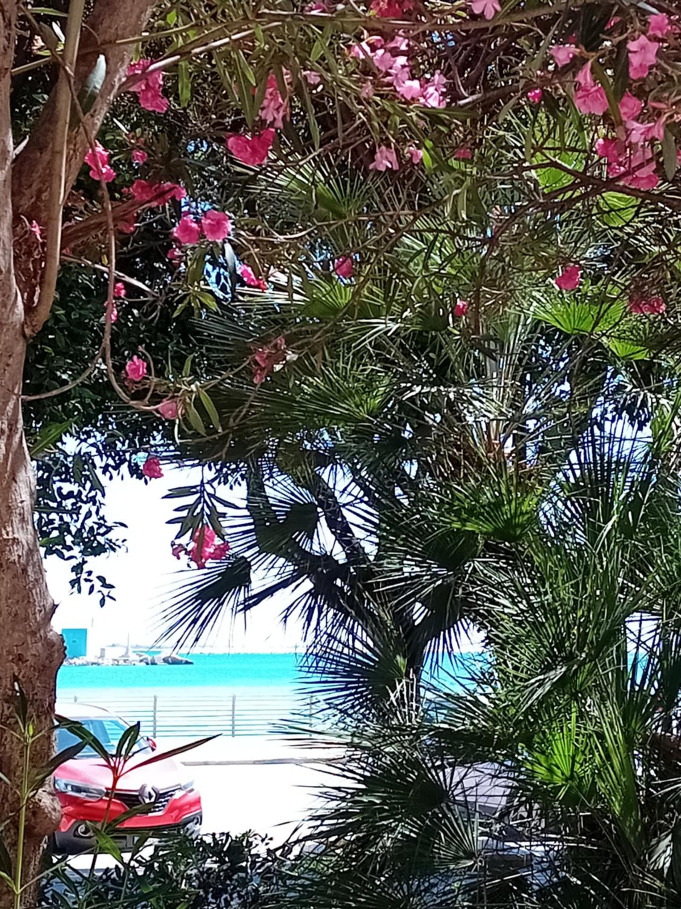 Il Cristallo del mare view 3