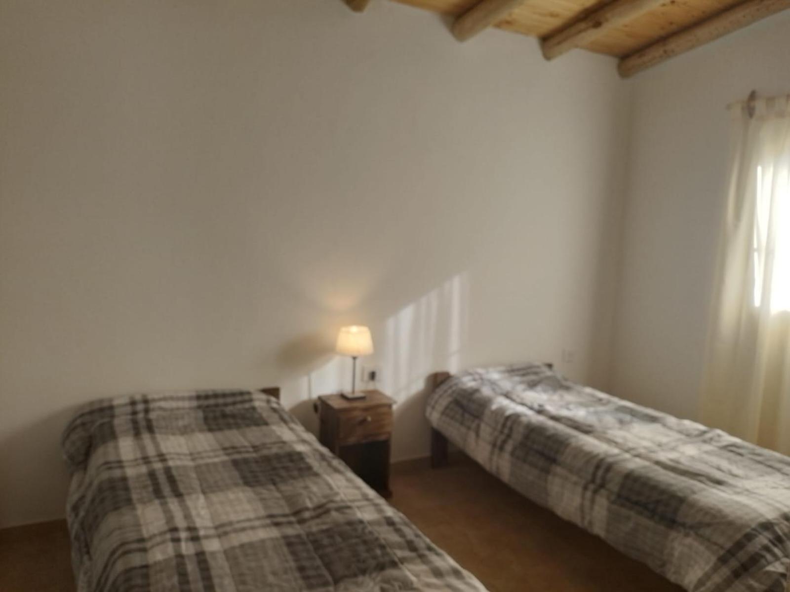 Cabañas rodeada de viñedos con piscina