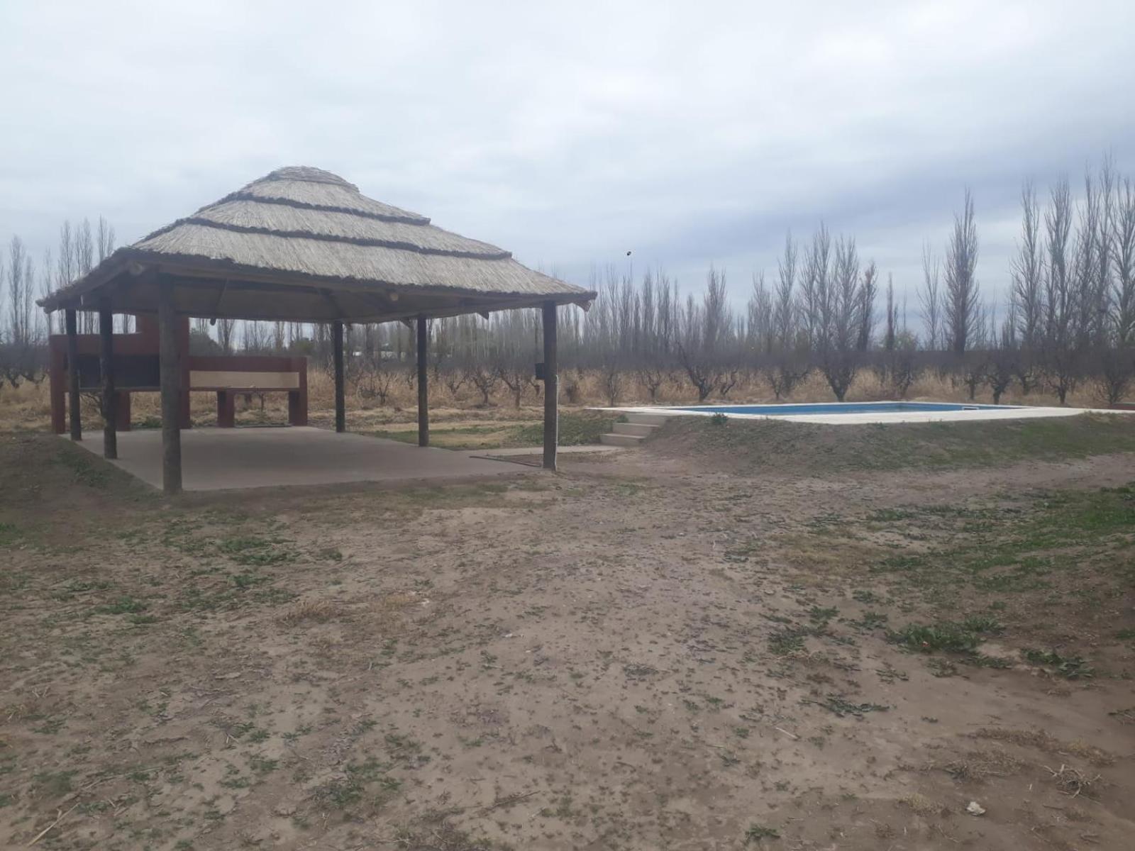 Cabañas rodeada de viñedos con piscina