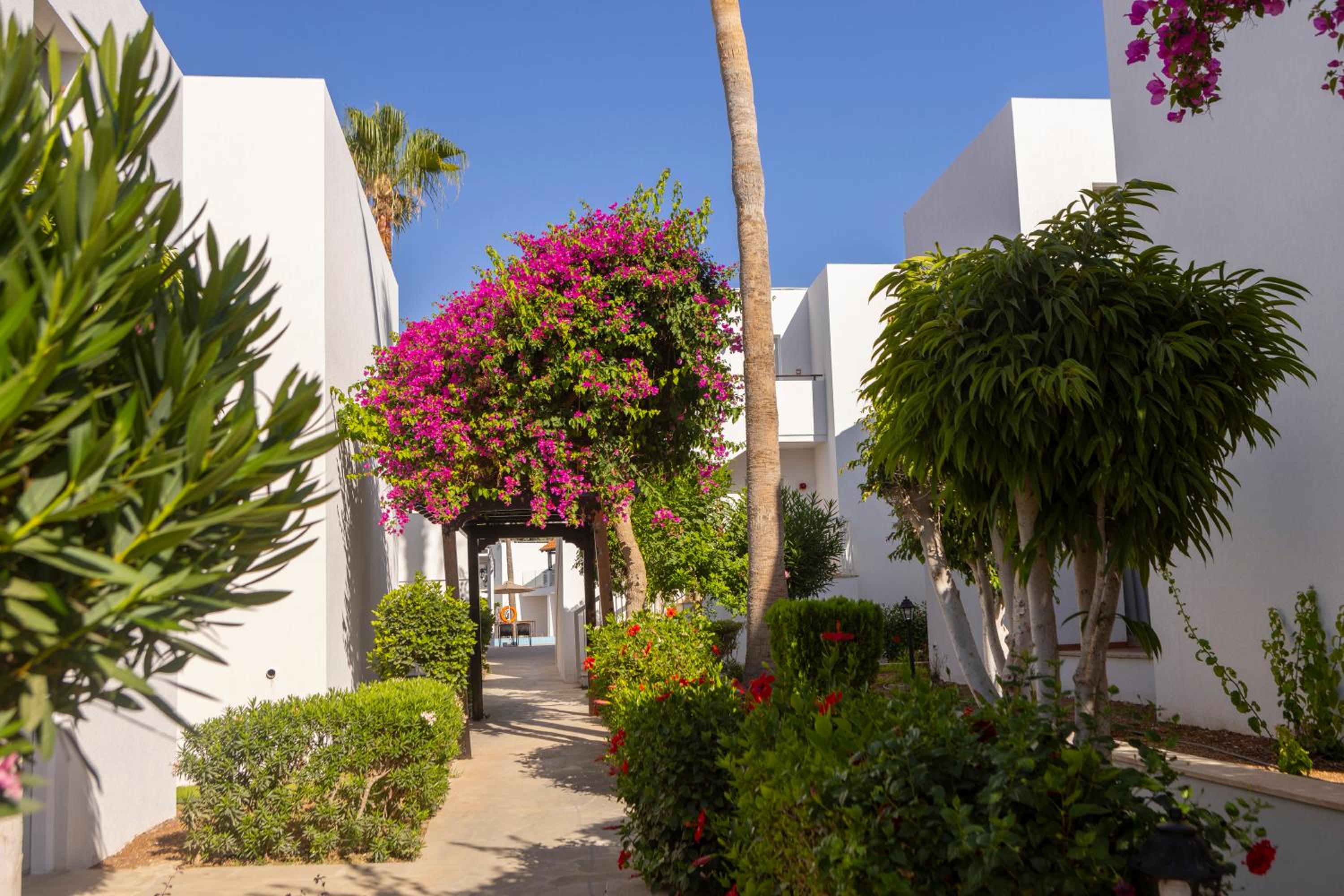 Kapetanios Aqua Resort