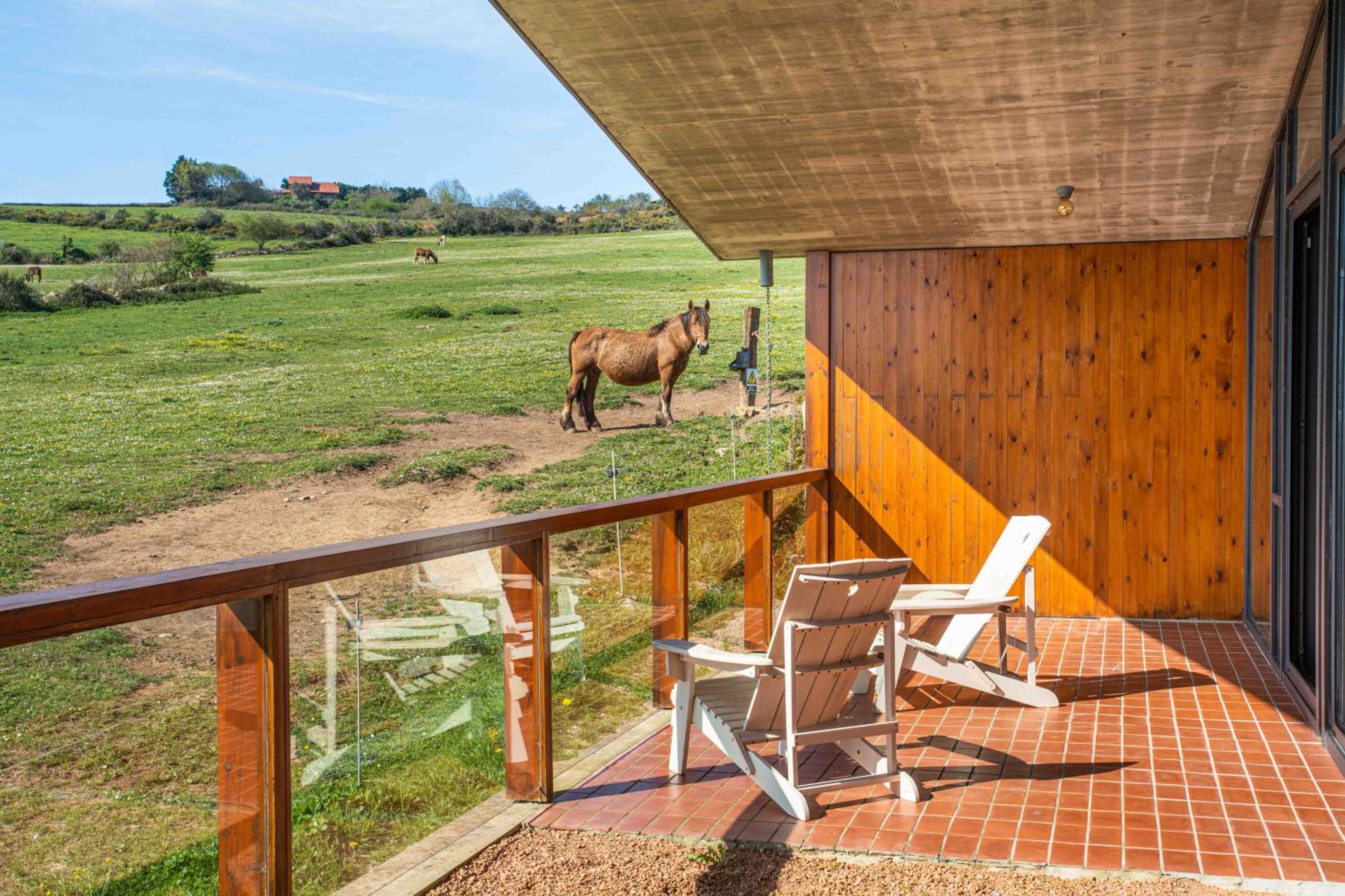 Suites Niditas