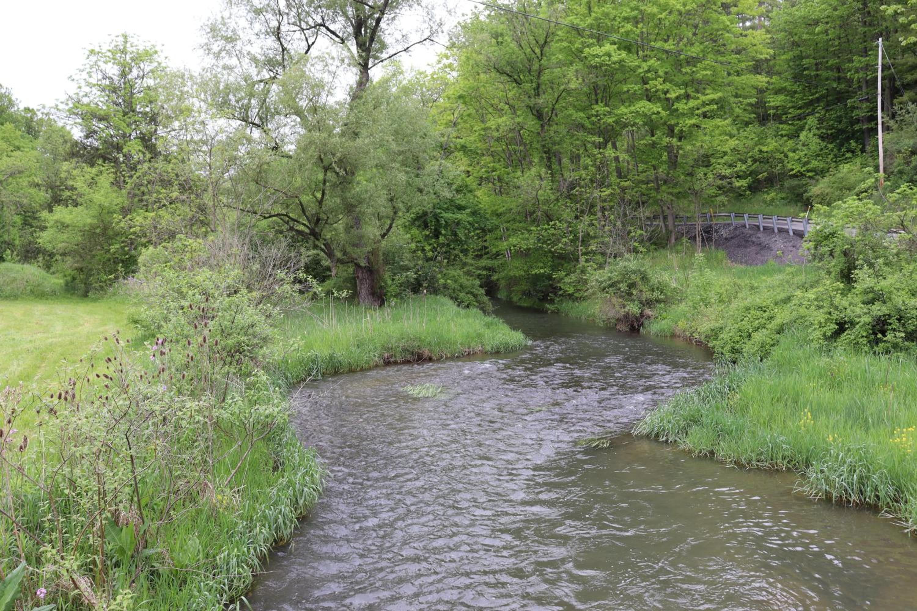 Photo 48
