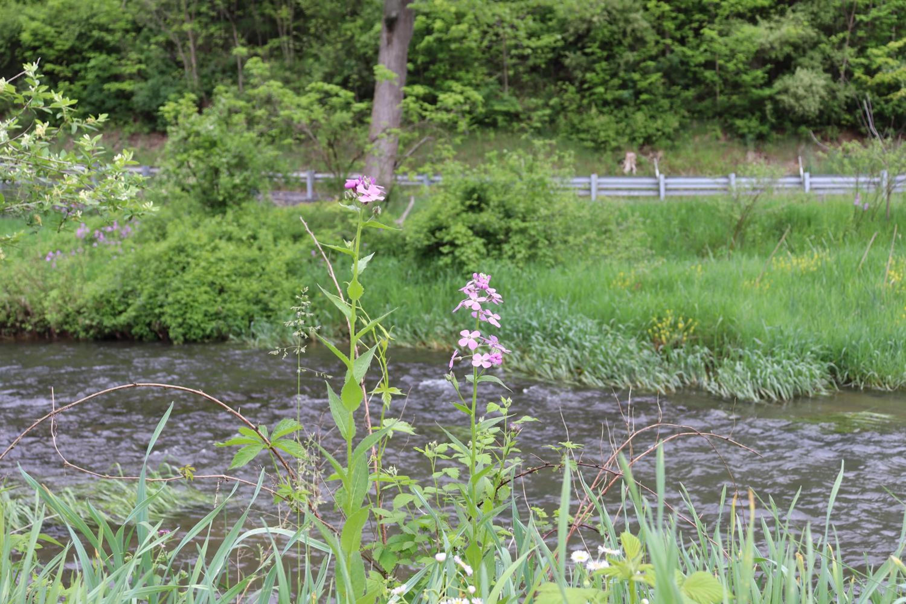 Photo 46