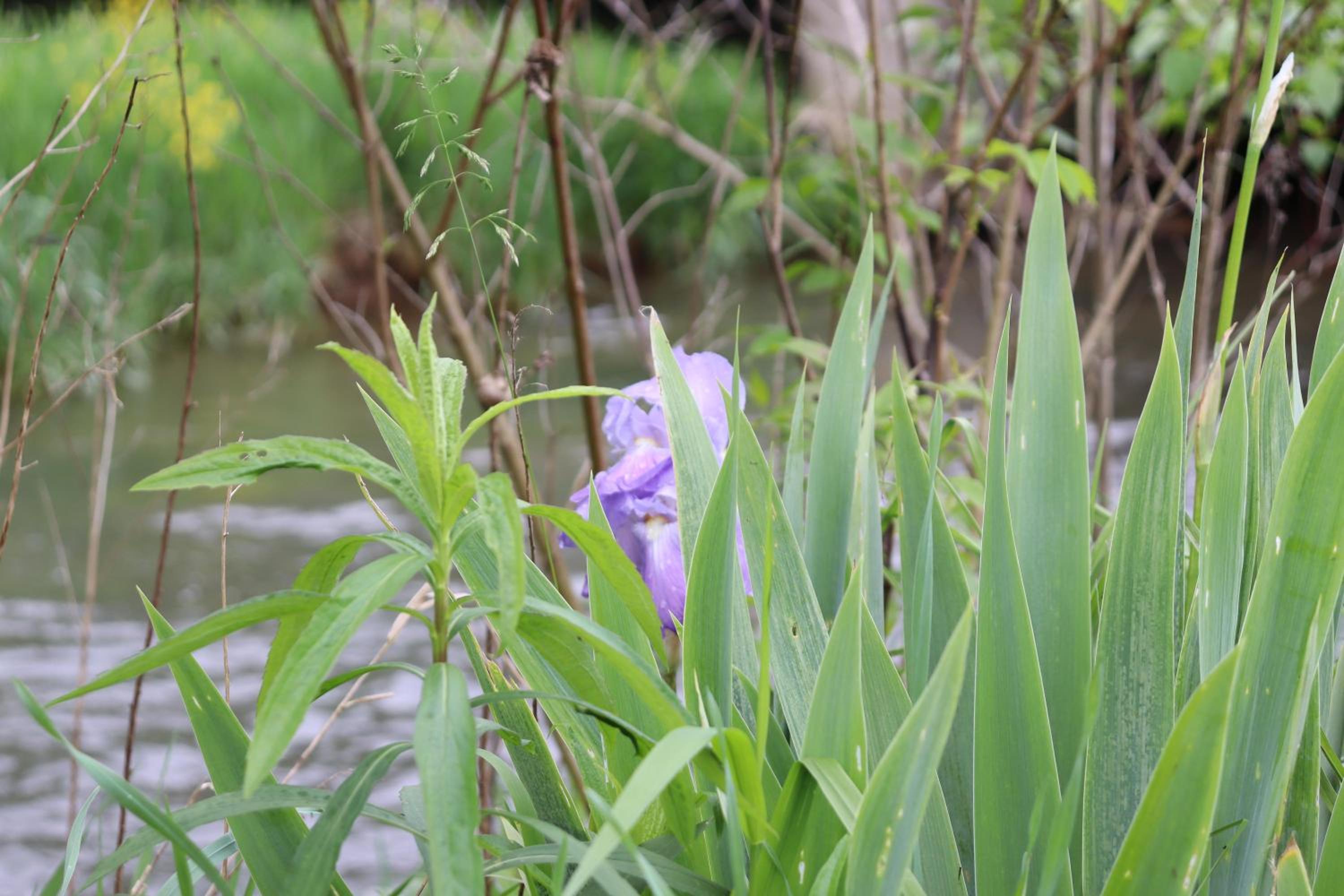 Photo 49