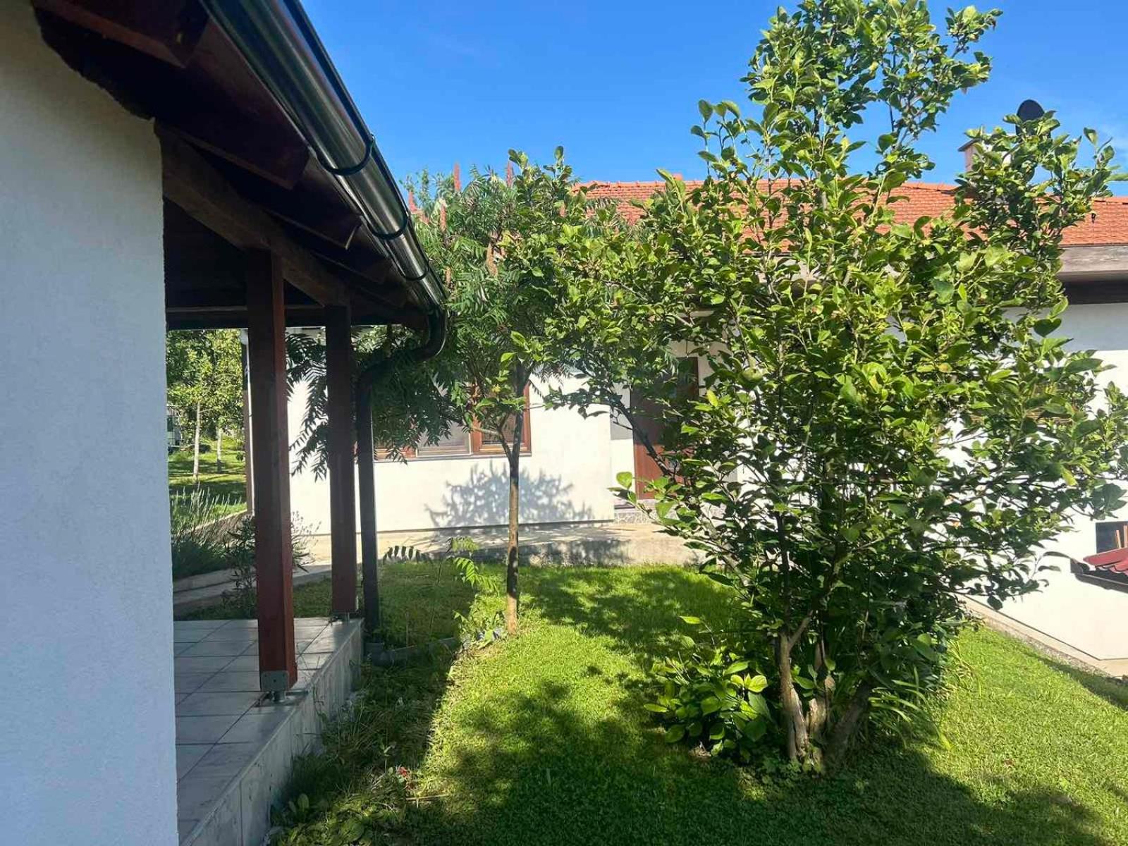 Casa Lila