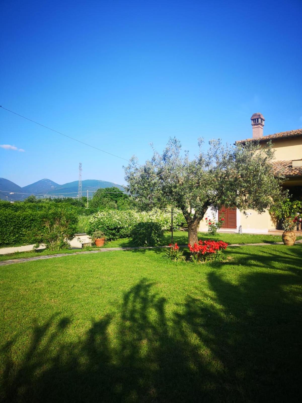 Il Gelsomino view 3