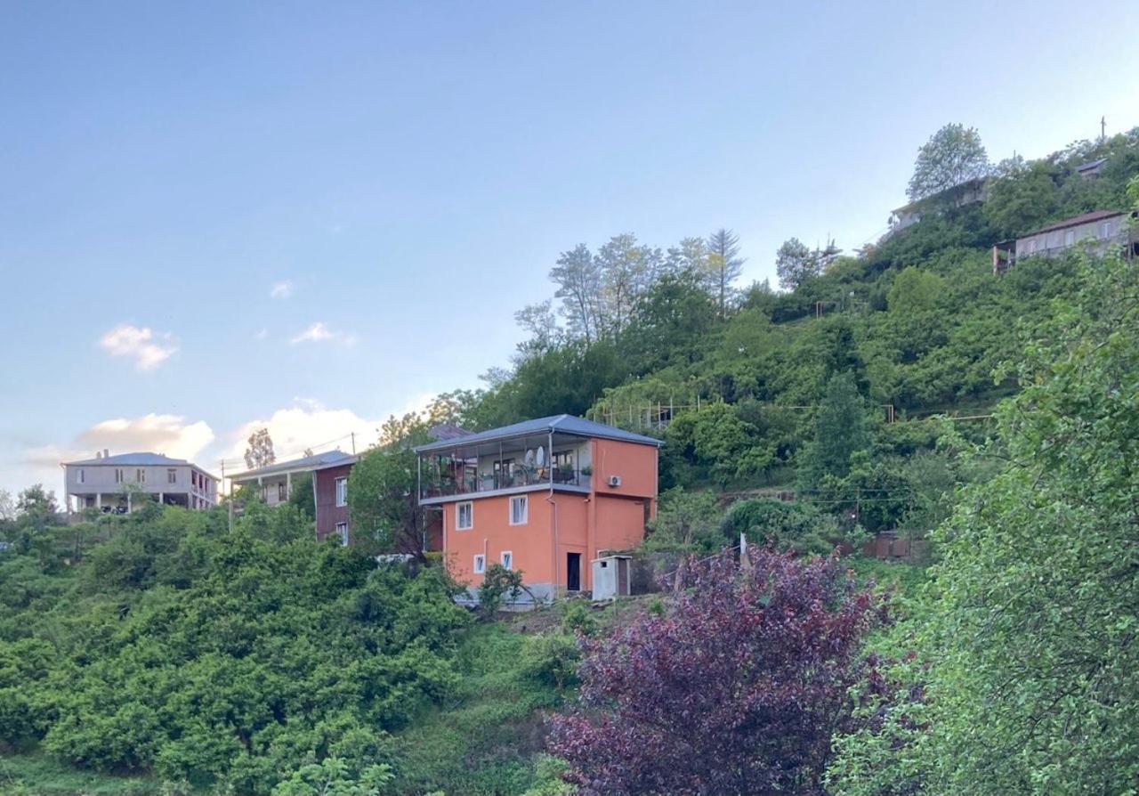 8 mountains Cottage near Chakvi view 3