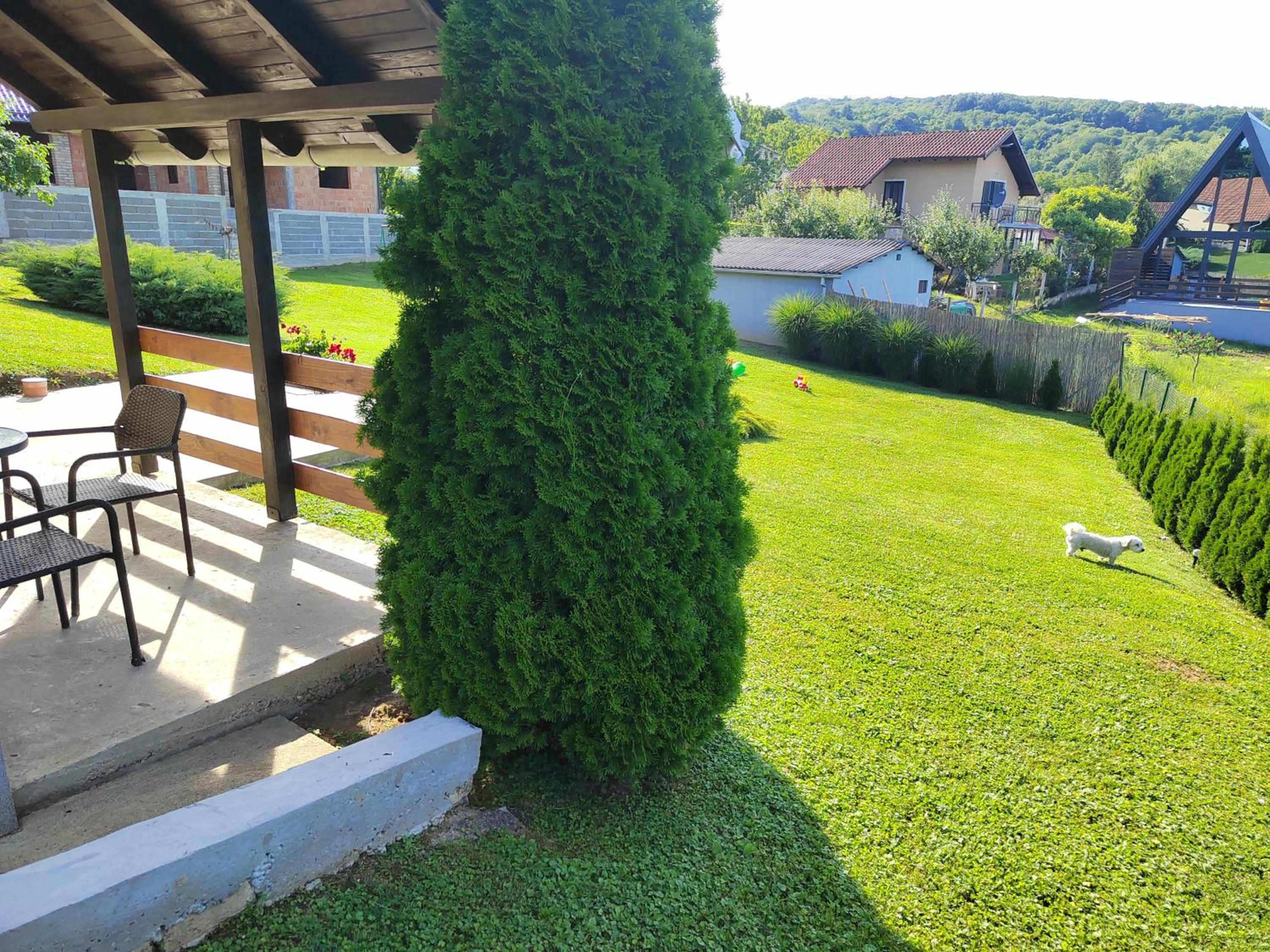 Photo 7