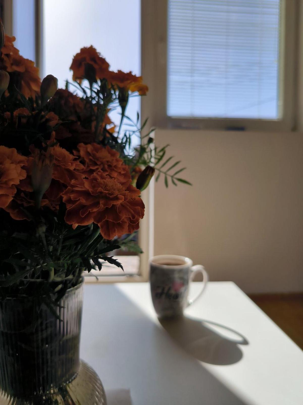 Apartman Zlatija