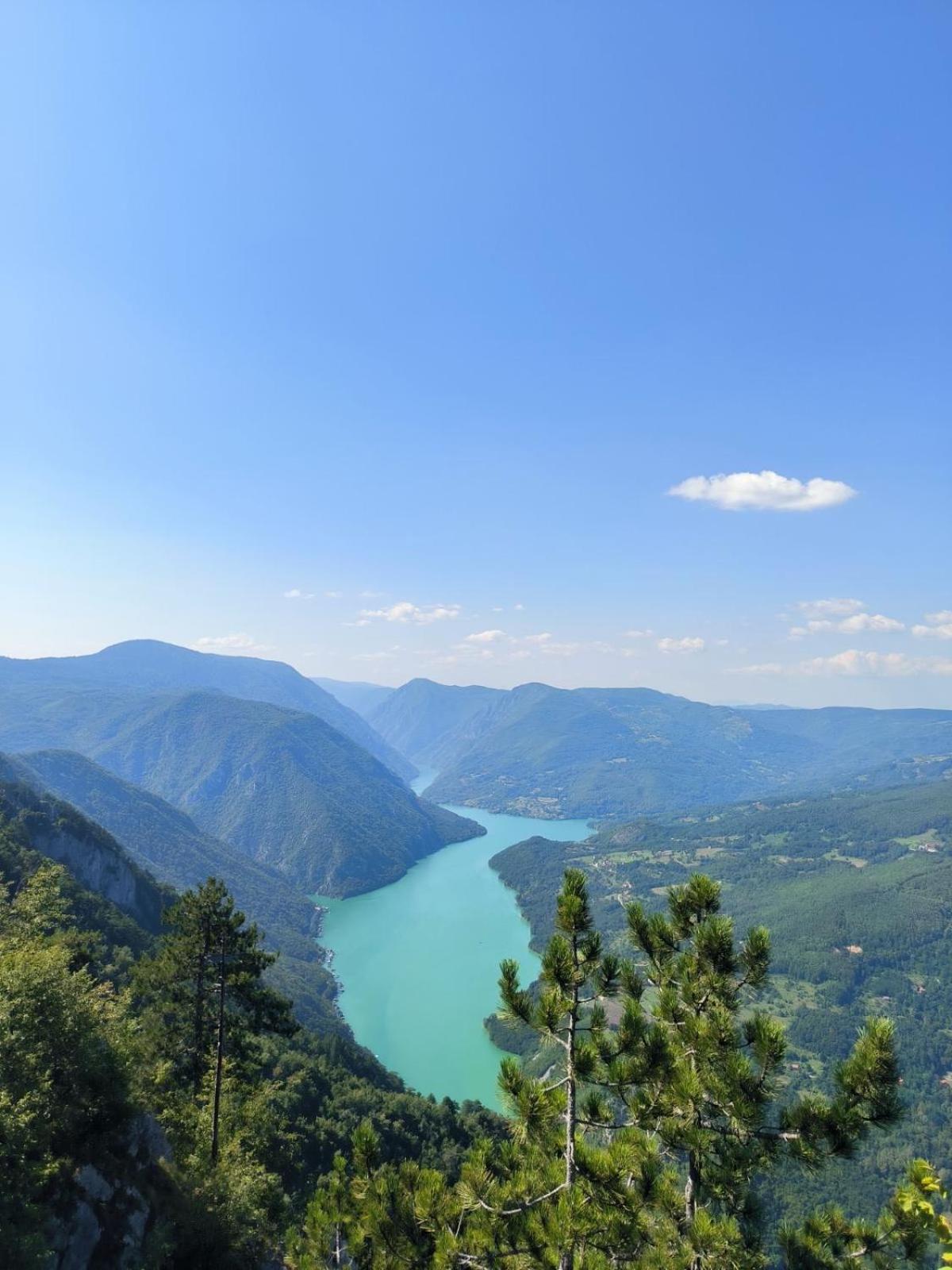 Apartman Zlatija
