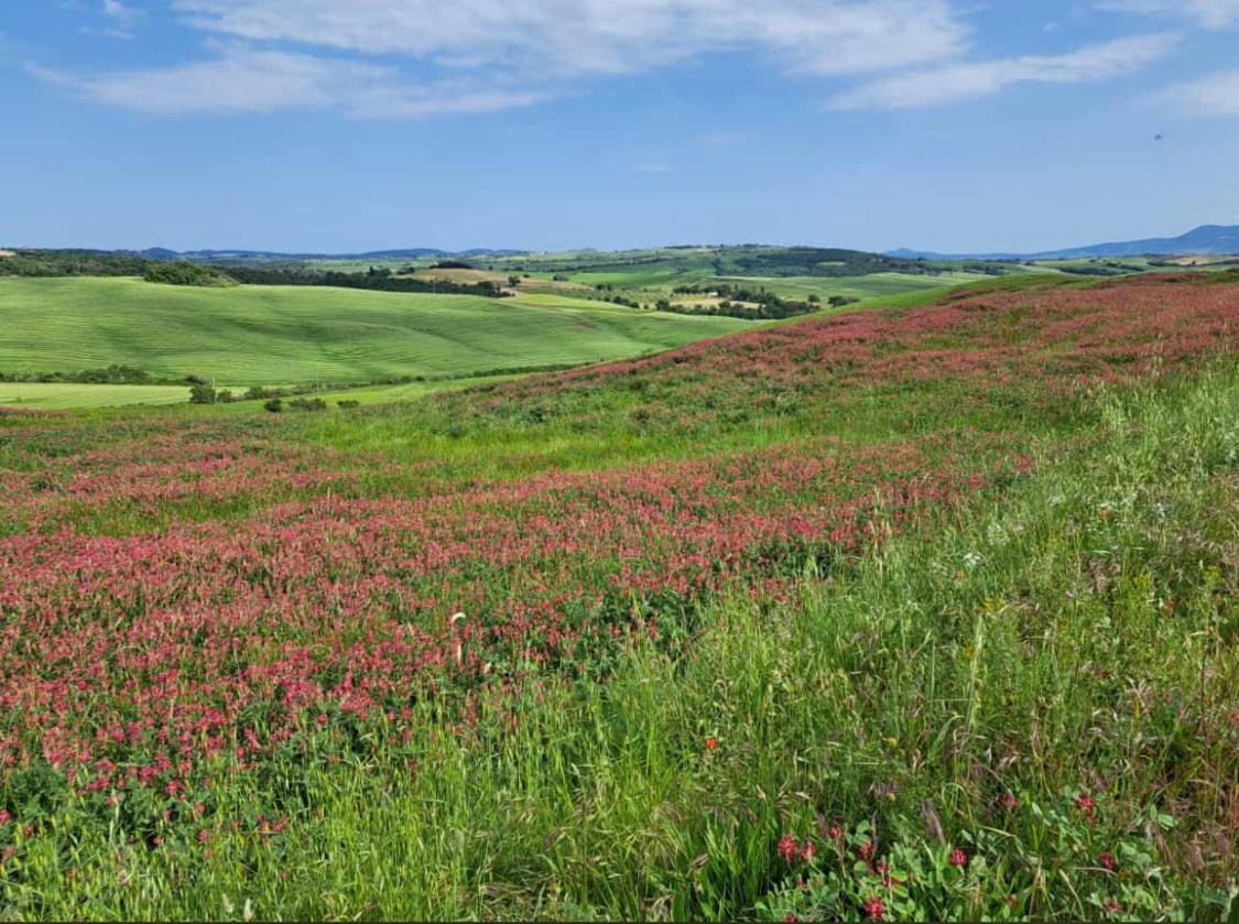 Podere Poggiolo