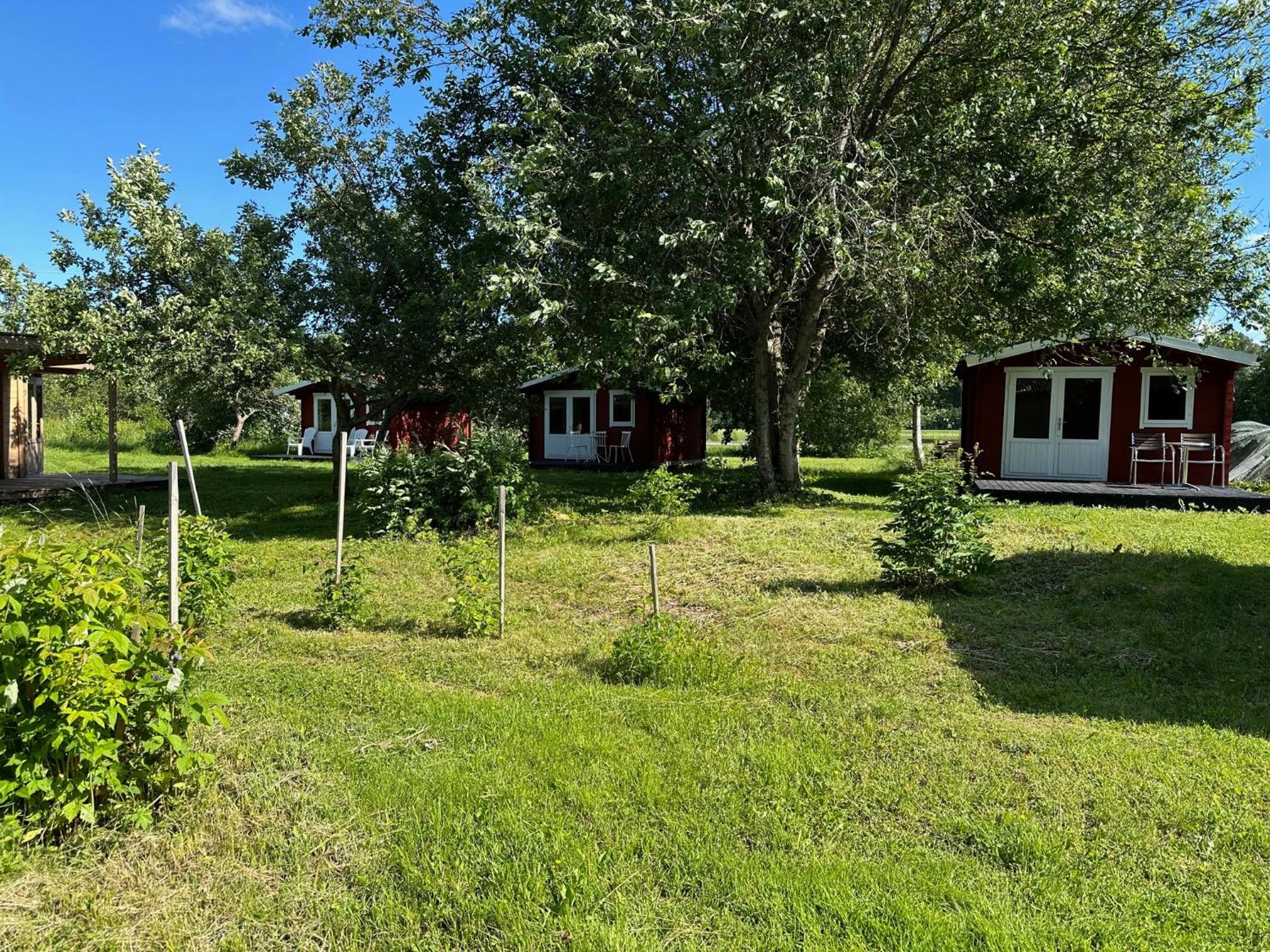 Kuriste camping