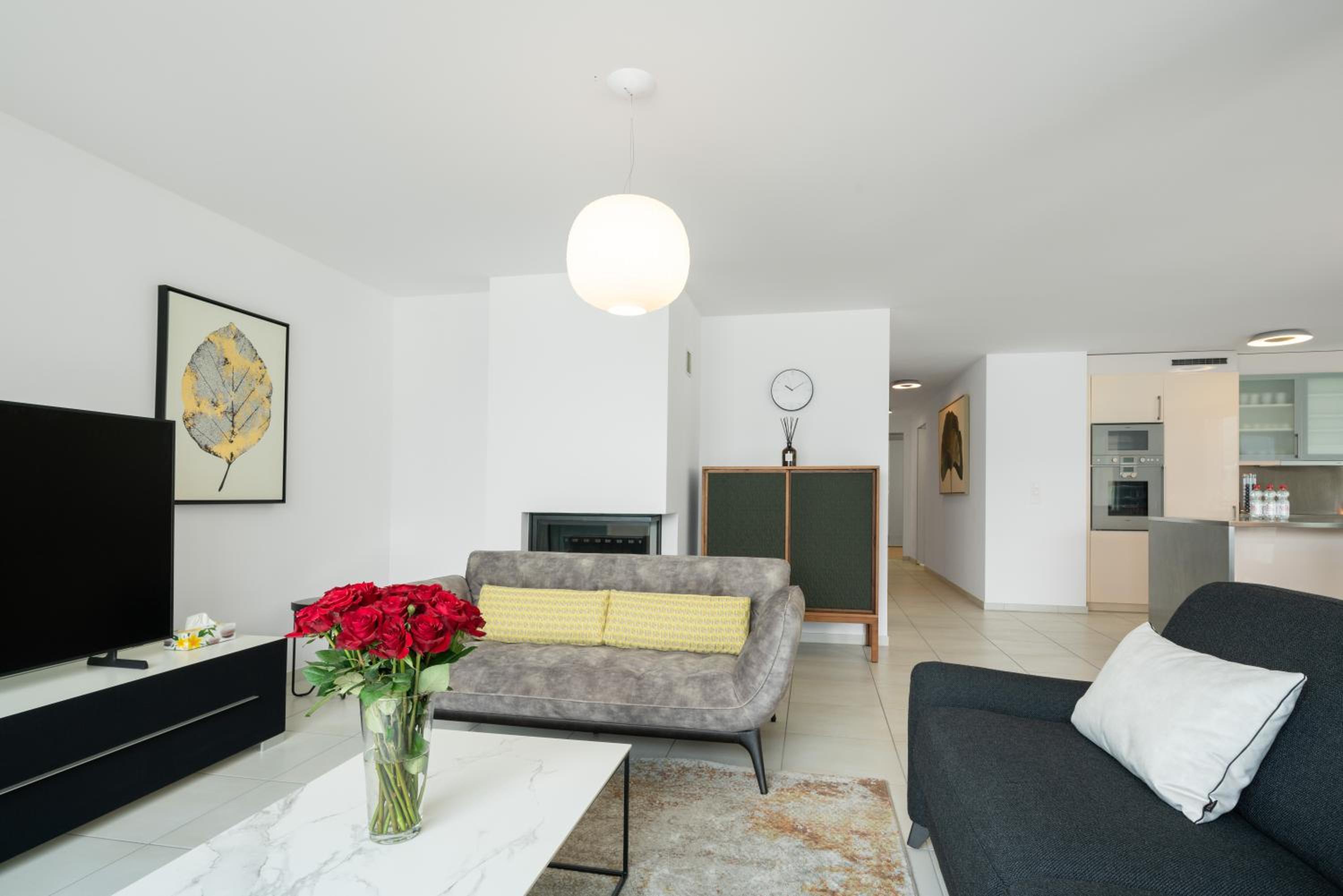 Montreux Lake View Apartments and Spa - Swiss Hotel Apartments