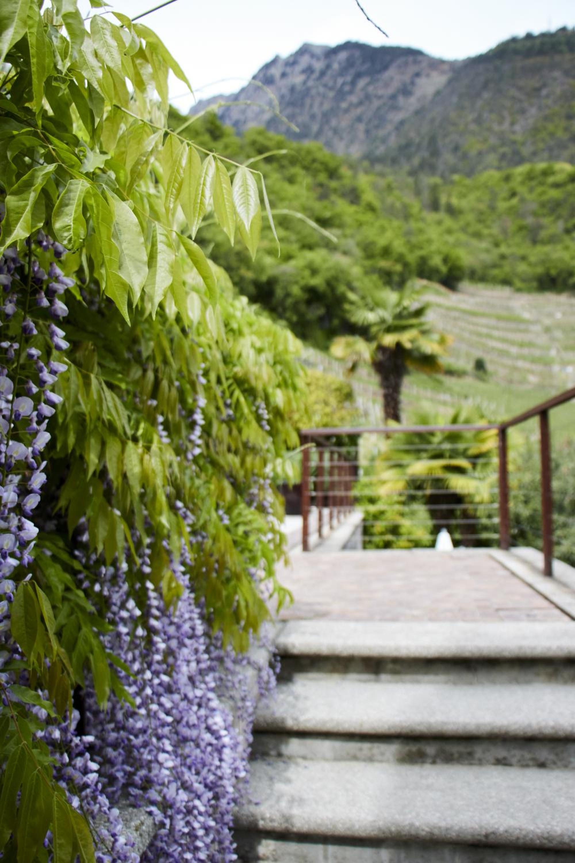 Frühmesserhaus Refugium zu Sanct Kassian photo 5