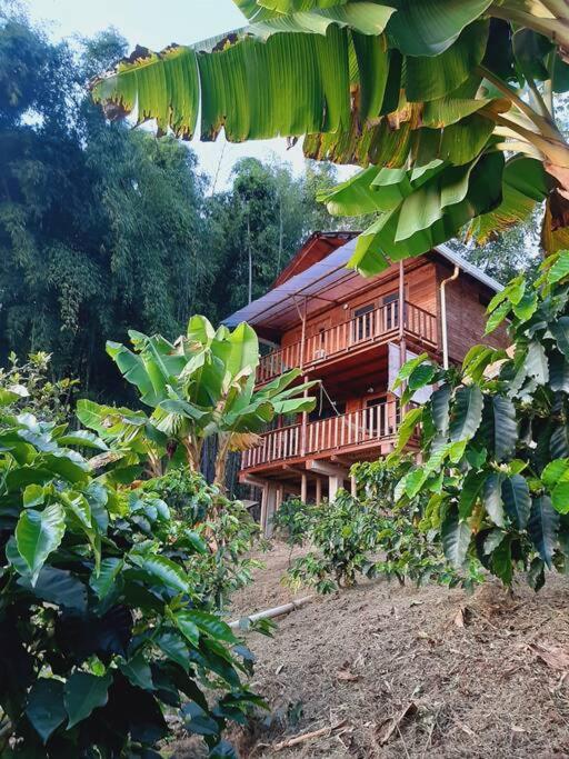 Finca el Moral