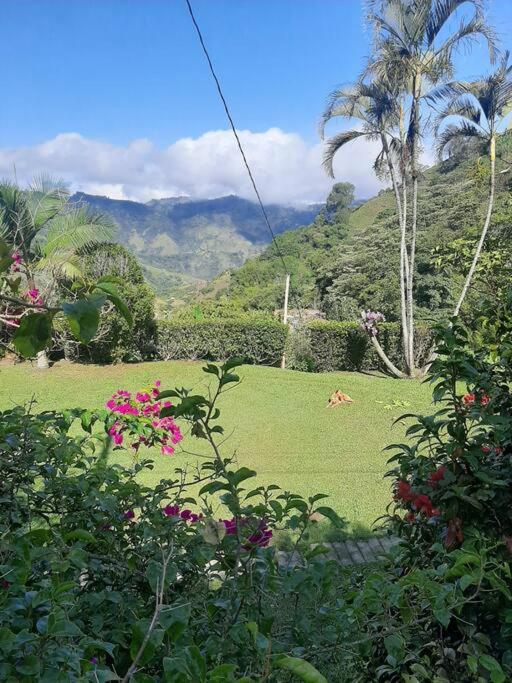 Finca el Moral