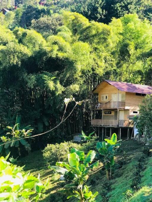 Finca el Moral