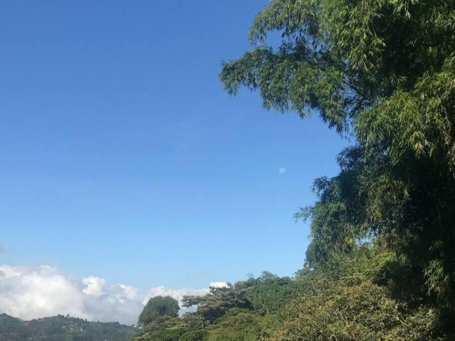Finca el Moral