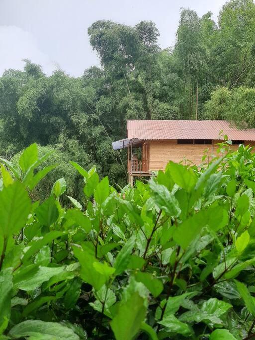 Finca el Moral