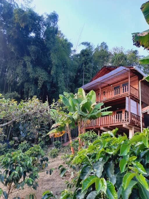 Finca el Moral