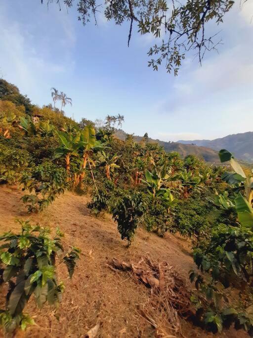 Finca el Moral