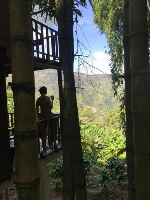 Finca el Moral