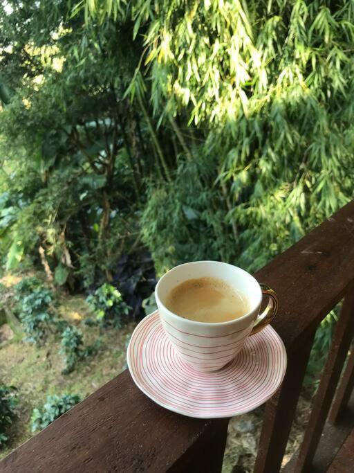 Finca el Moral