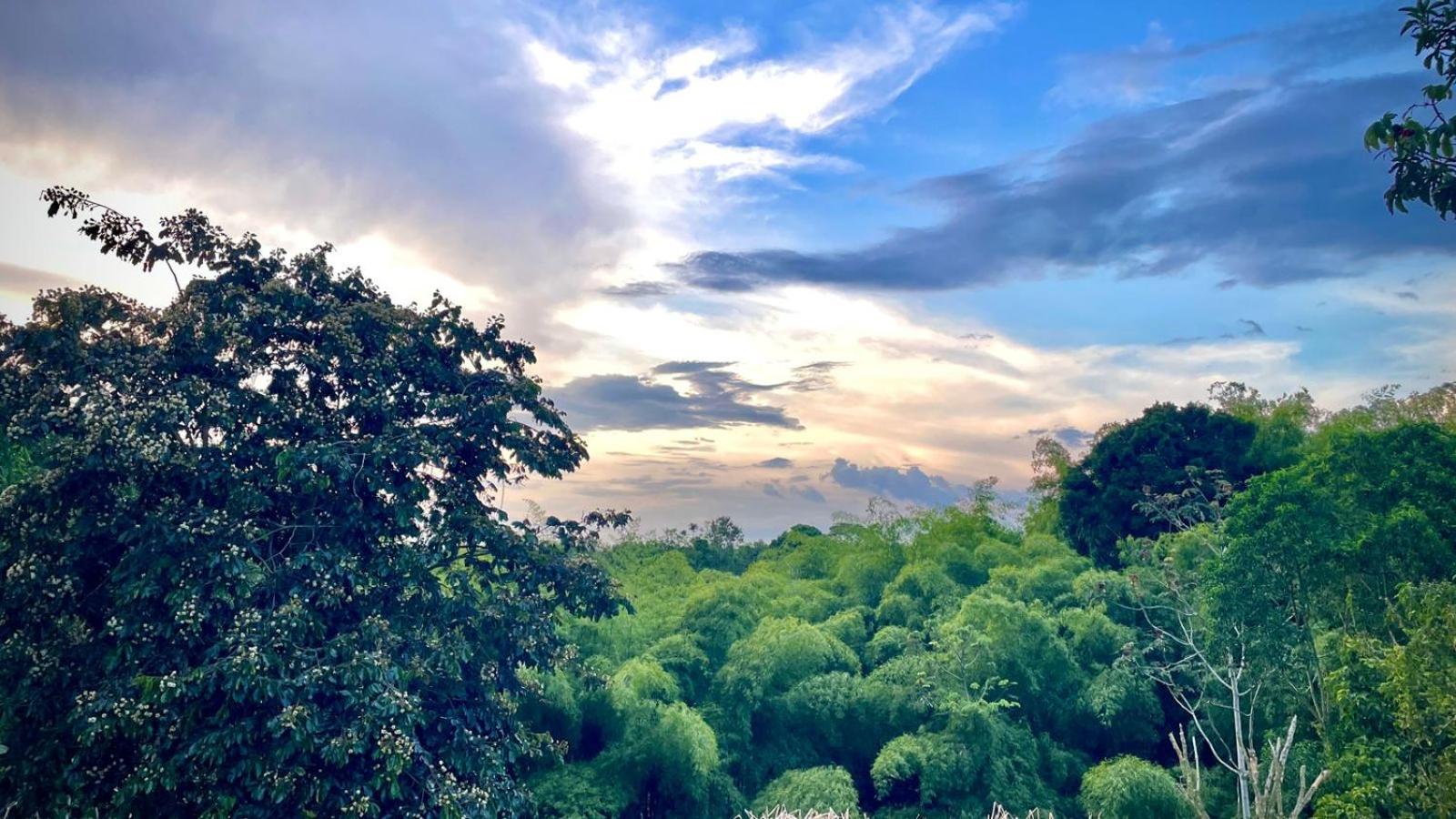 Casa Rural El Vergel Montenegro Quindio