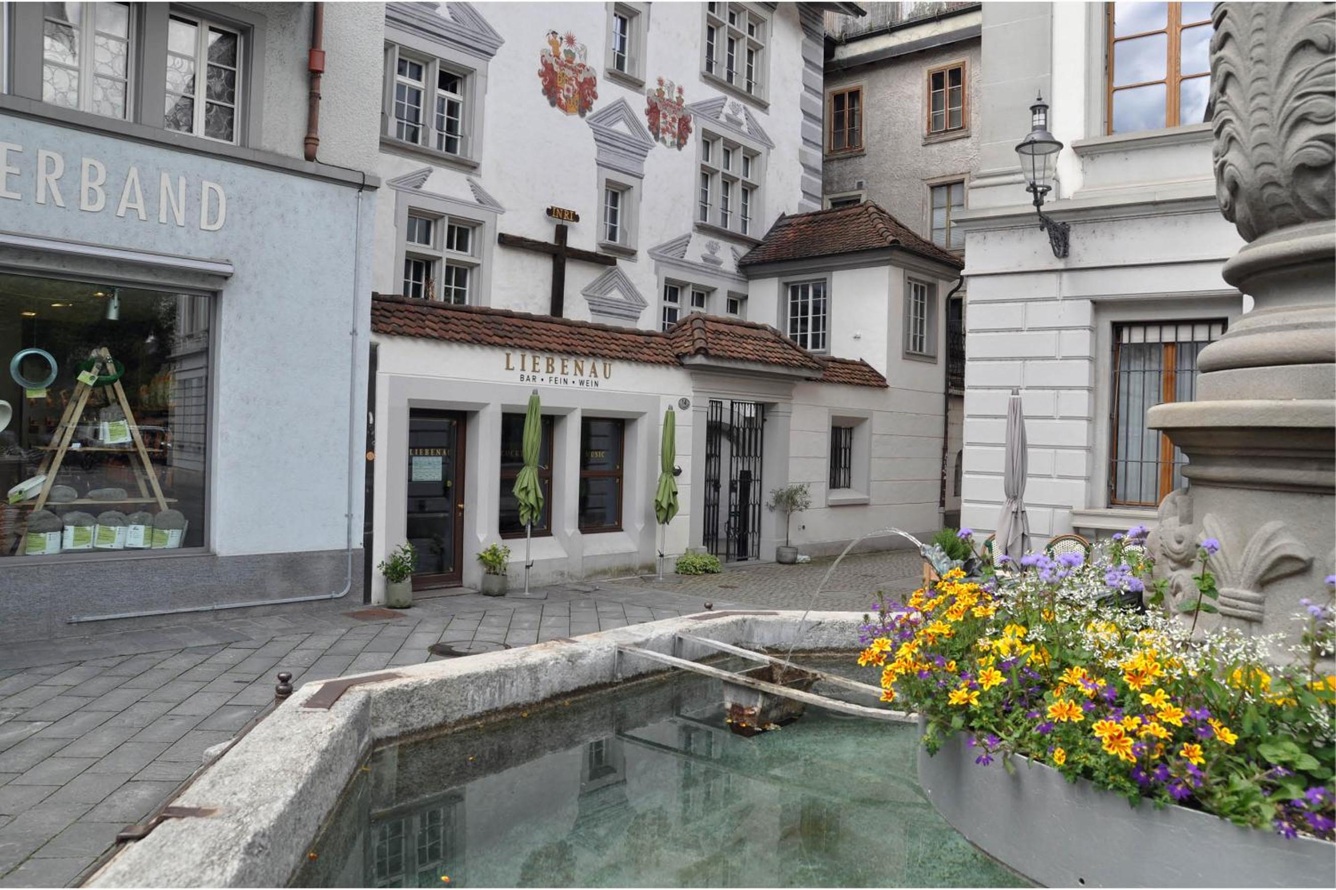 Townhouse Lucerne city I Old town I Mountain