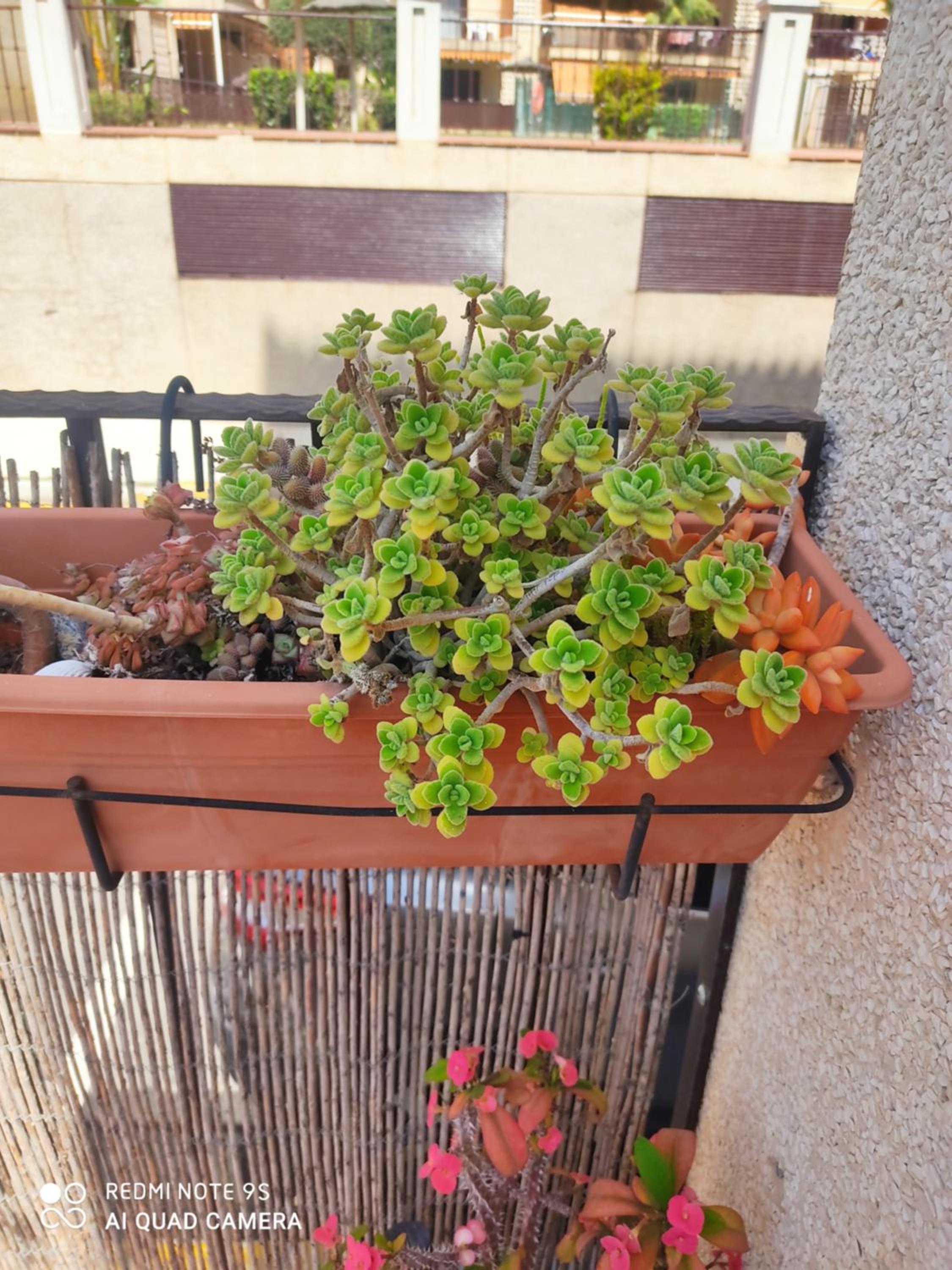 Apartamento Turístico FlorHouse