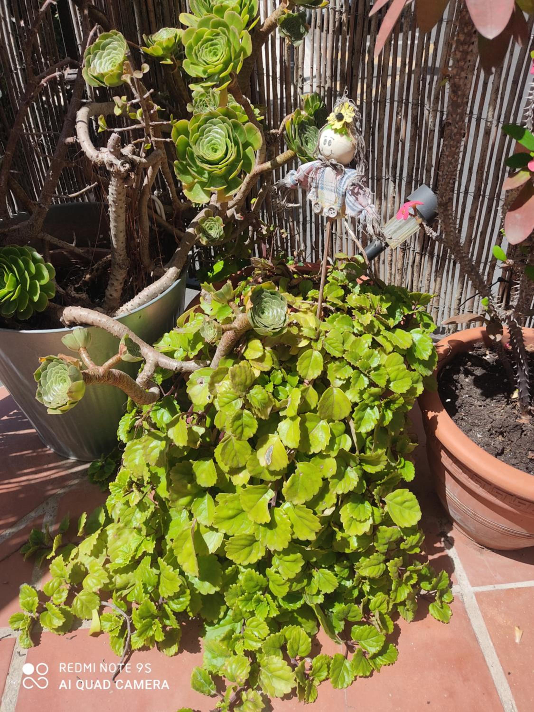 Apartamento Turístico FlorHouse