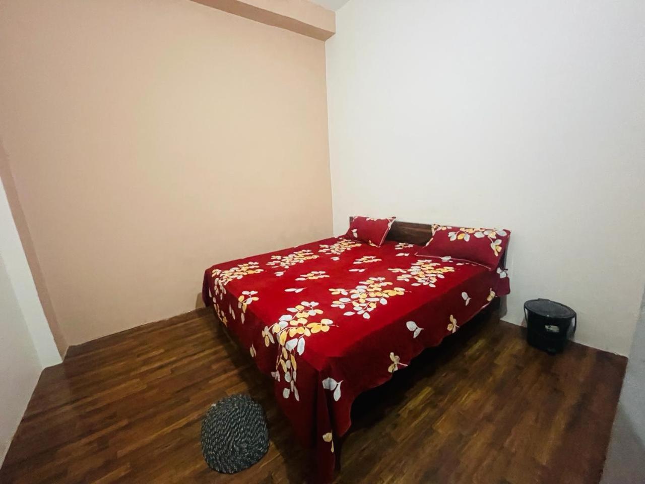 Ashu Homestay view 2